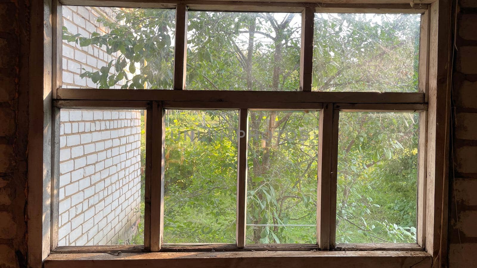 Window Looking Out to Garden