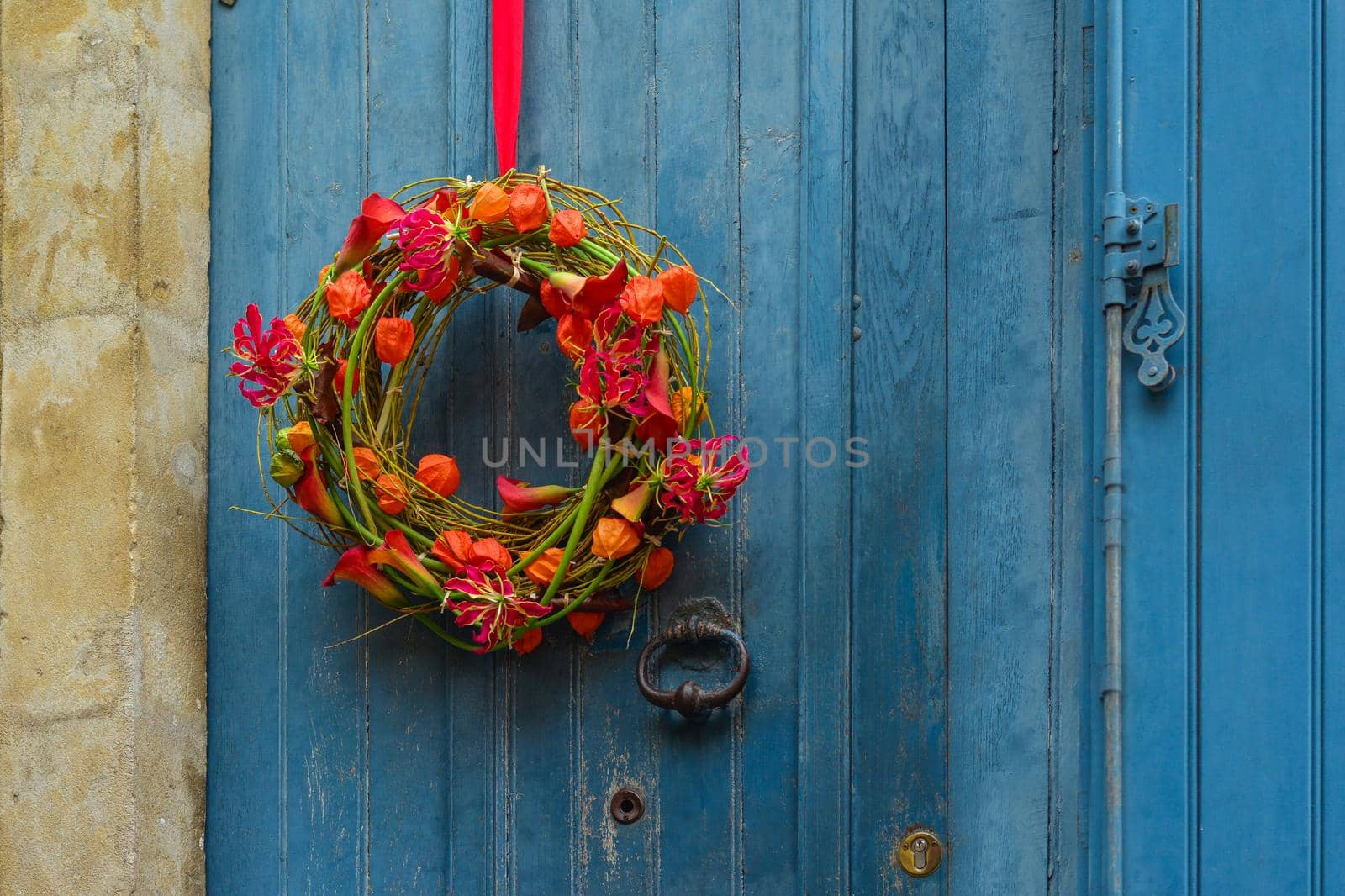 Wreath of autumn plants with physalis and orchids
