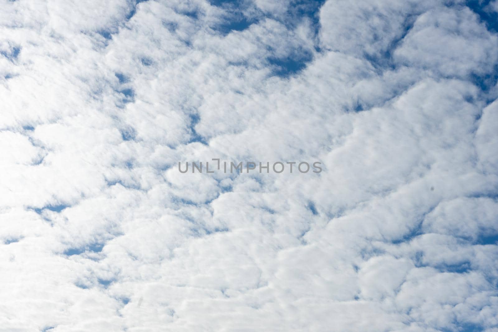 White cumulus clouds on the background of the blue sky by Serhii_Voroshchuk