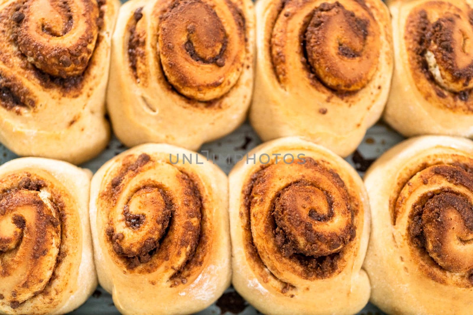 Freshly baked cinnamon rolls in a blue baking pan.