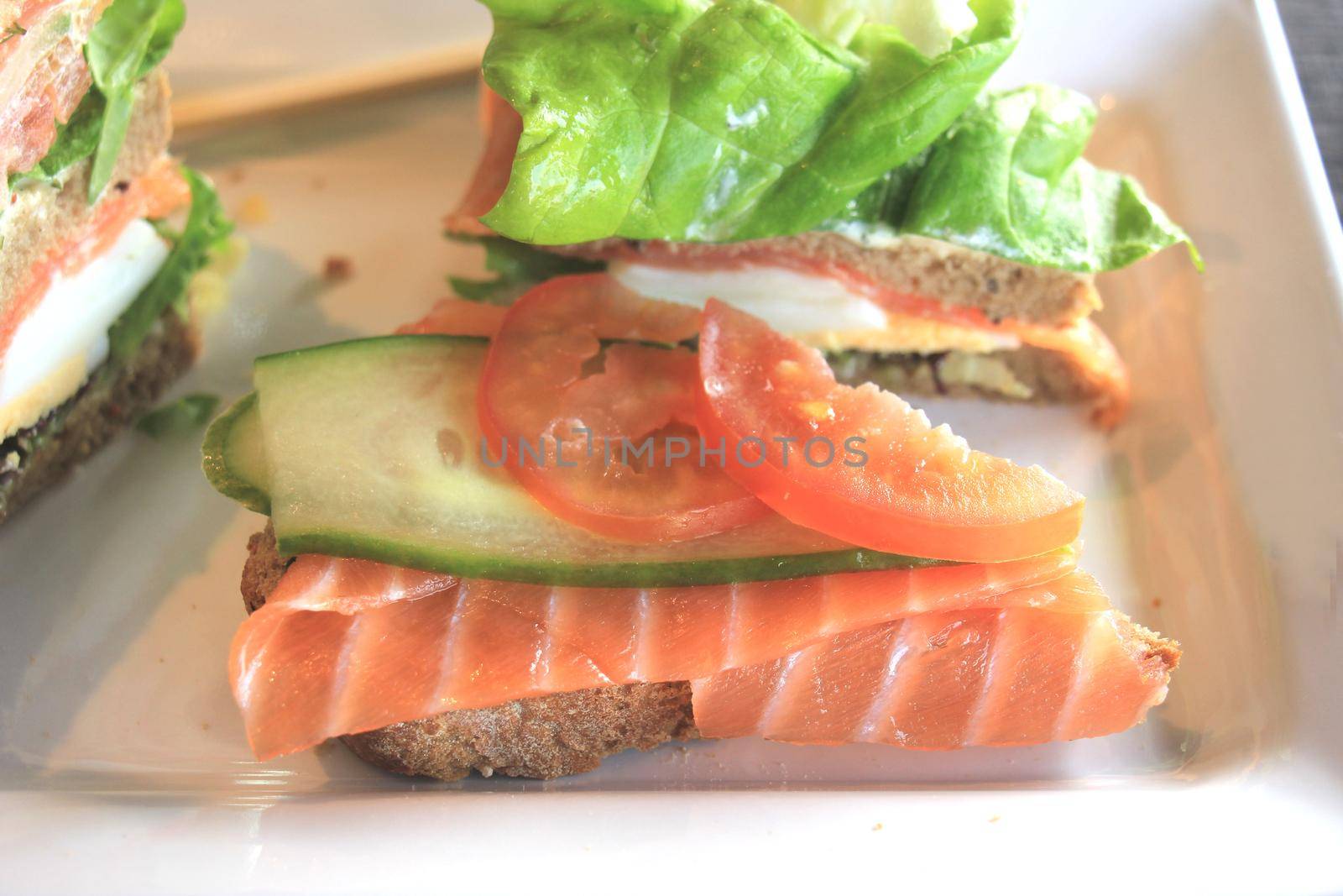 A fresh salmon sandwich: smoked salmon, lettuce, fresh dill and egg