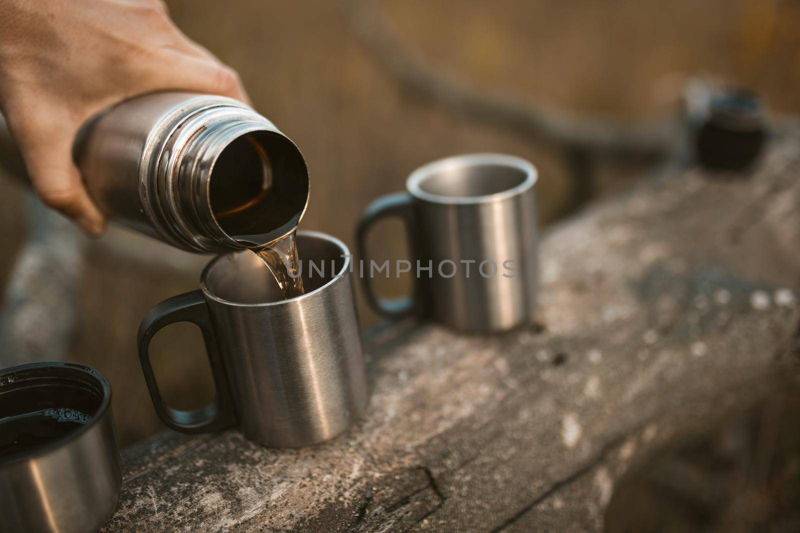 Male hand is pouring a hot drink from a thermos into metal camping cups standing on a fallen tree. Time for a break in nature. Close up shot.