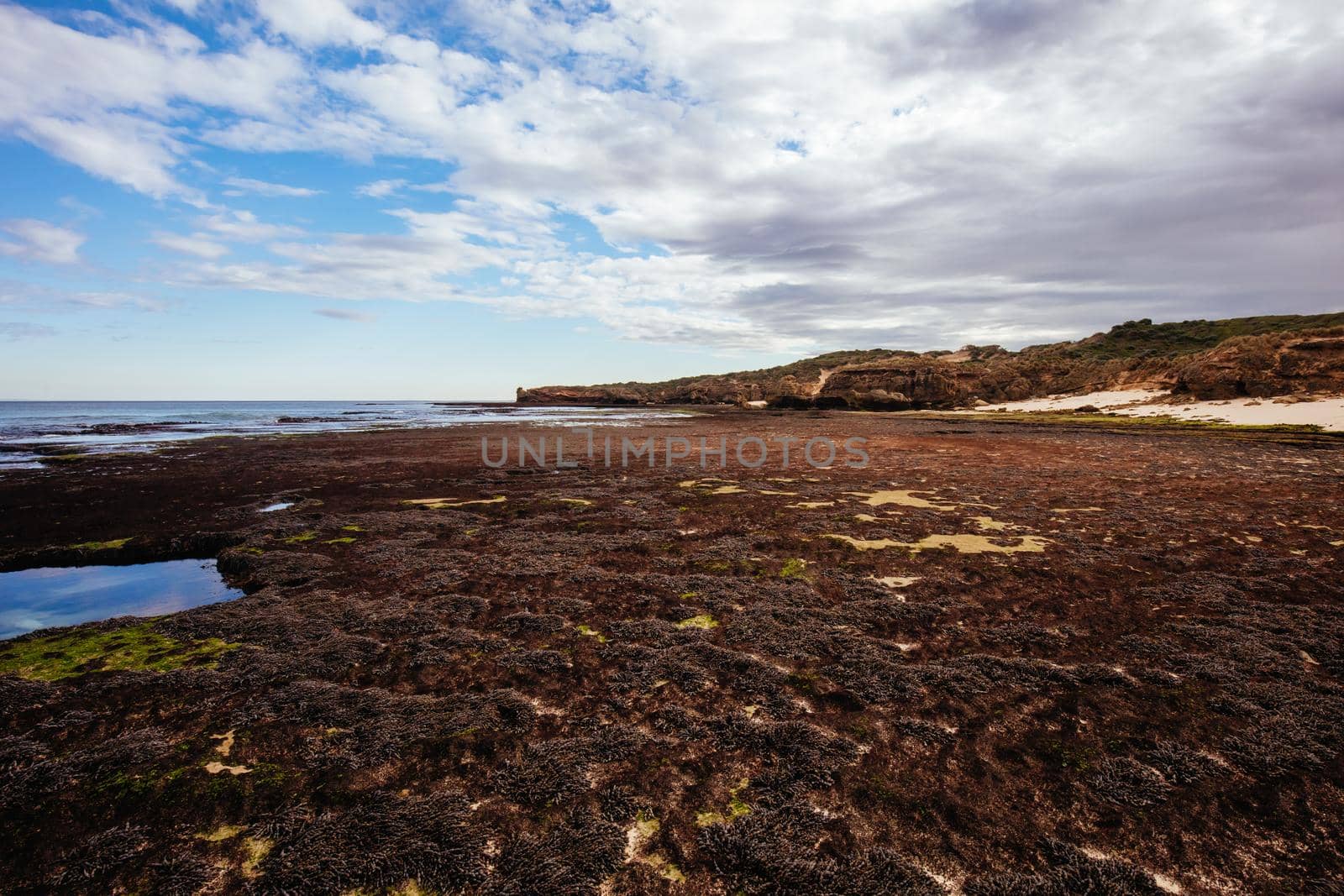 The lesser known Monforts Beach and its rockpool formations on a sunny day in Blairgowrie, Victoria, Australia