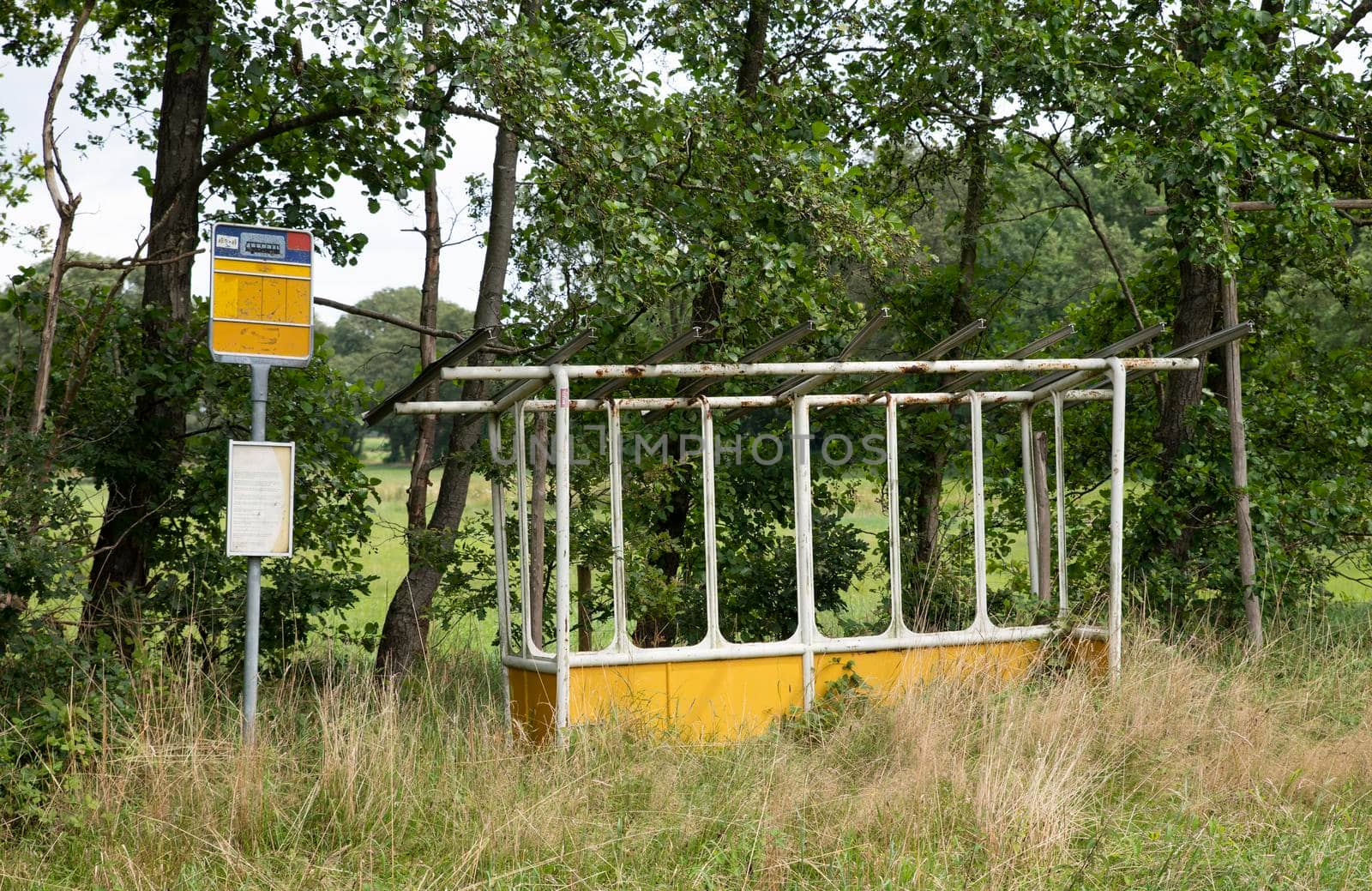 old abandoned bus stop in holland overgrown with plans and grass