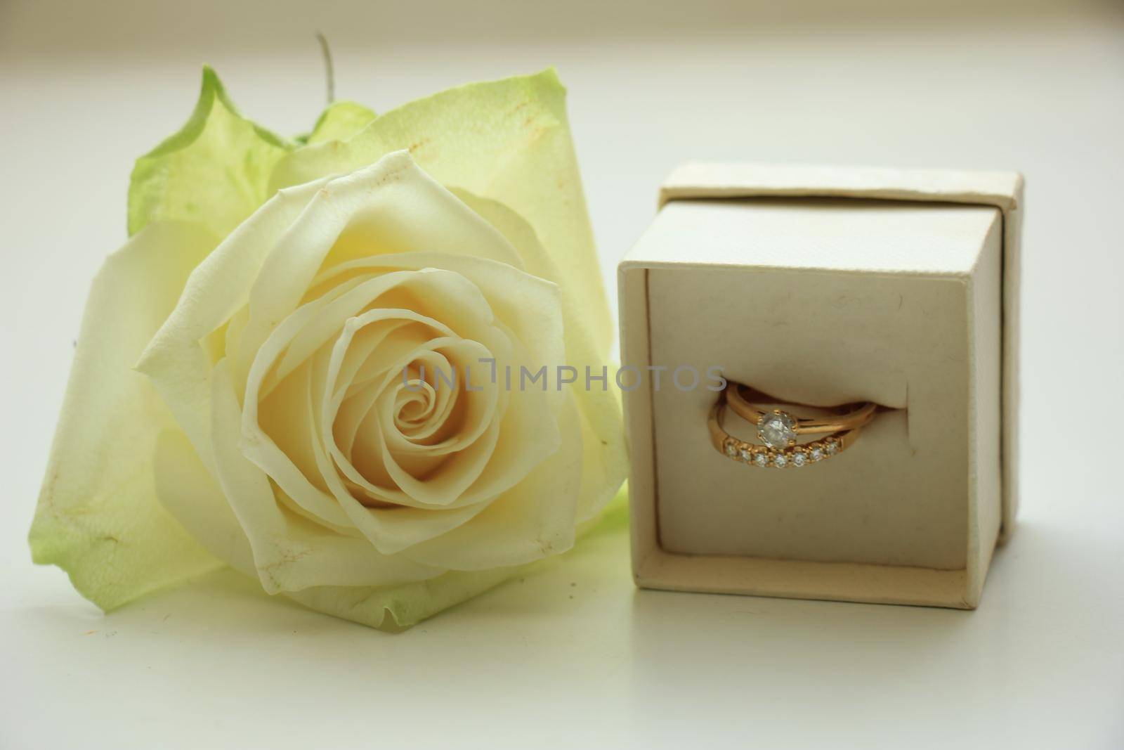 Engagement rings in box and white rose