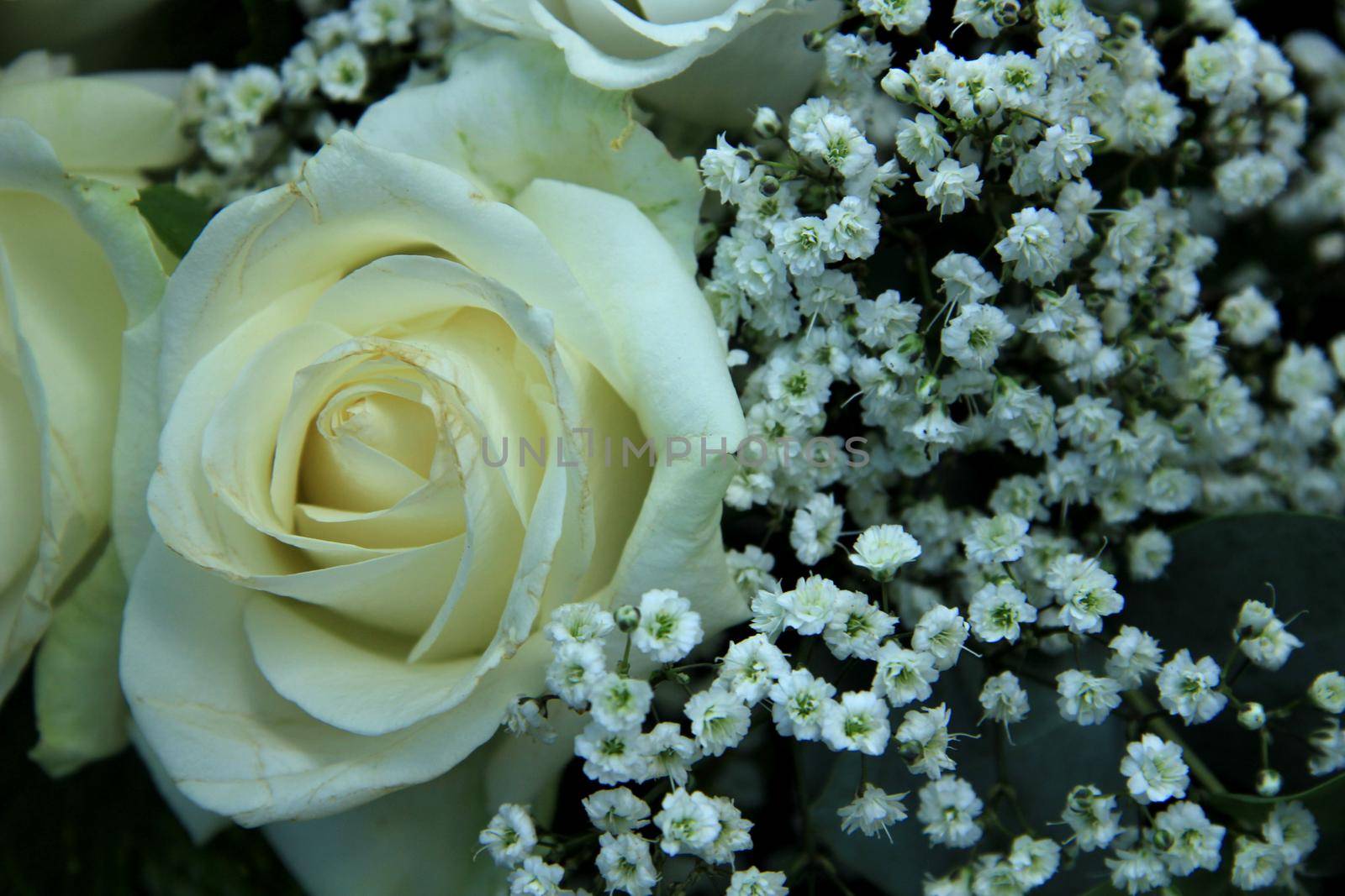 white rose and gypsophila bouquet for a wedding by studioportosabbia