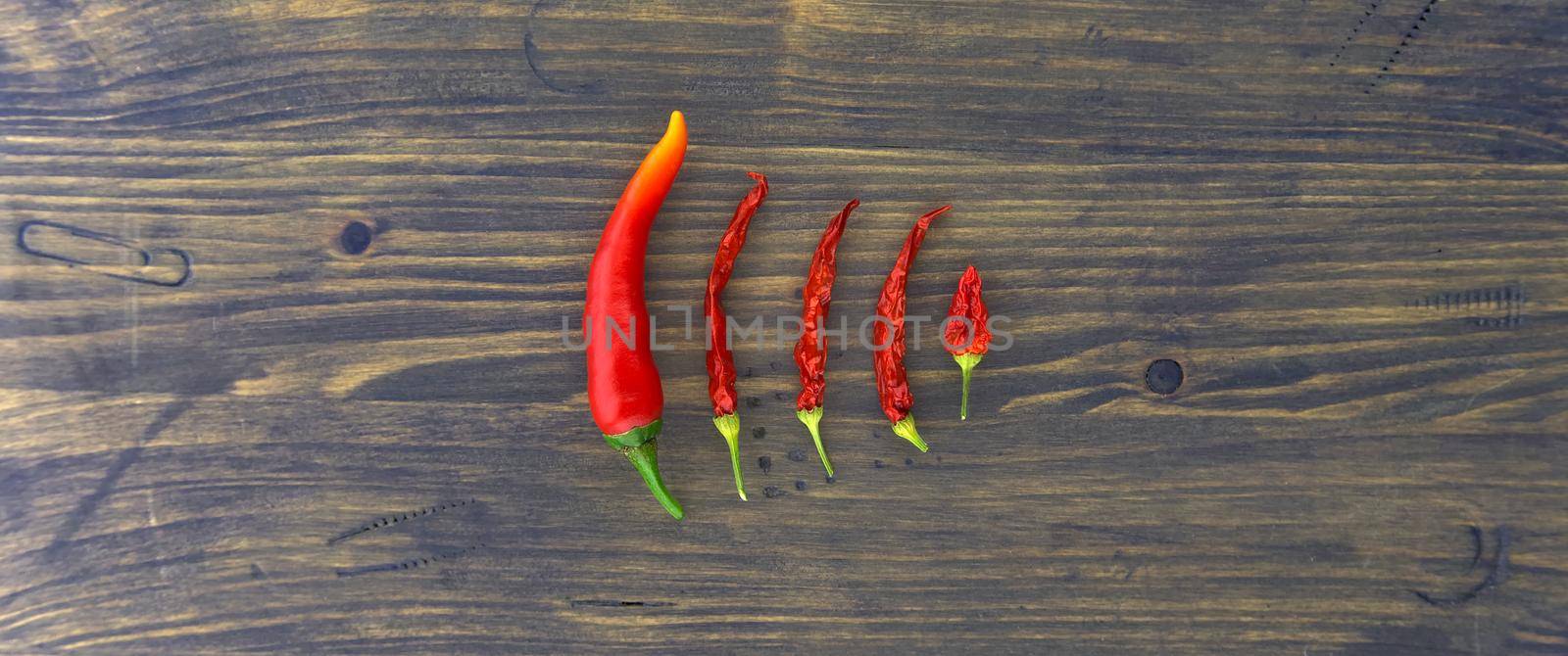 Hot chili pepper panorama still life over a wood background with a descending row of fresh and dried red chillies with copyspace