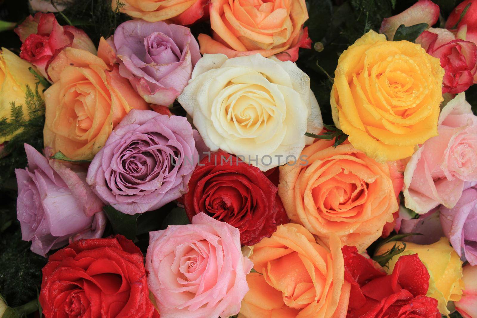 Multicolored roses in a floral wedding decoration