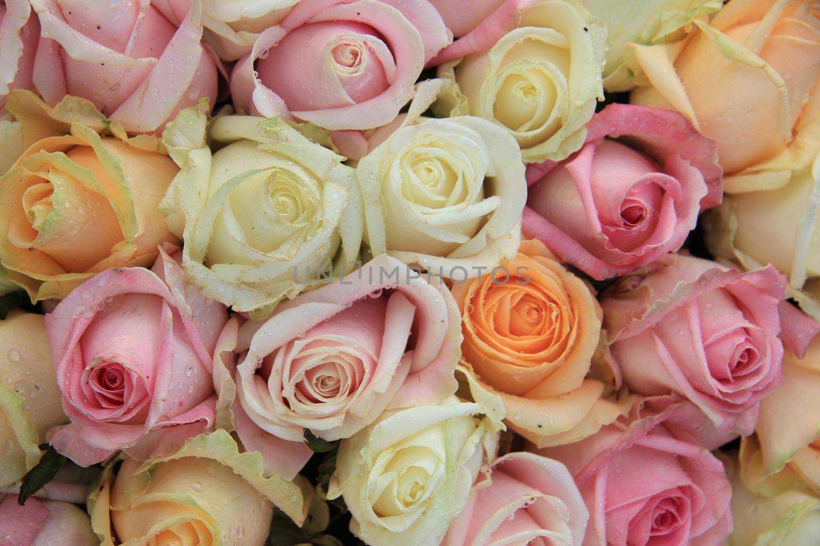Pink, orange and white roses in a mixed bridal bouquet by studioportosabbia