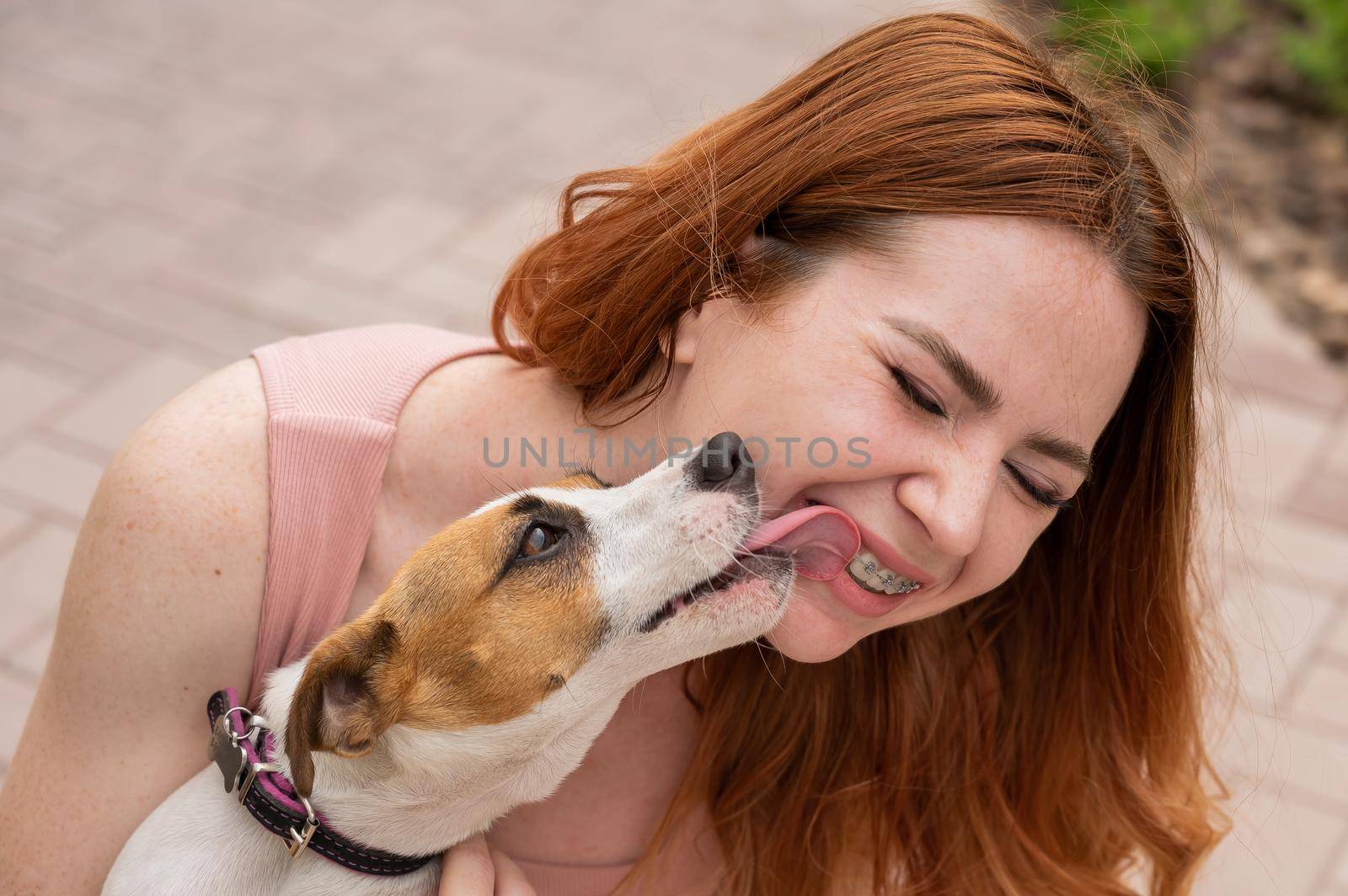 Dog jack russell terrier licks the owner in the face outdoors