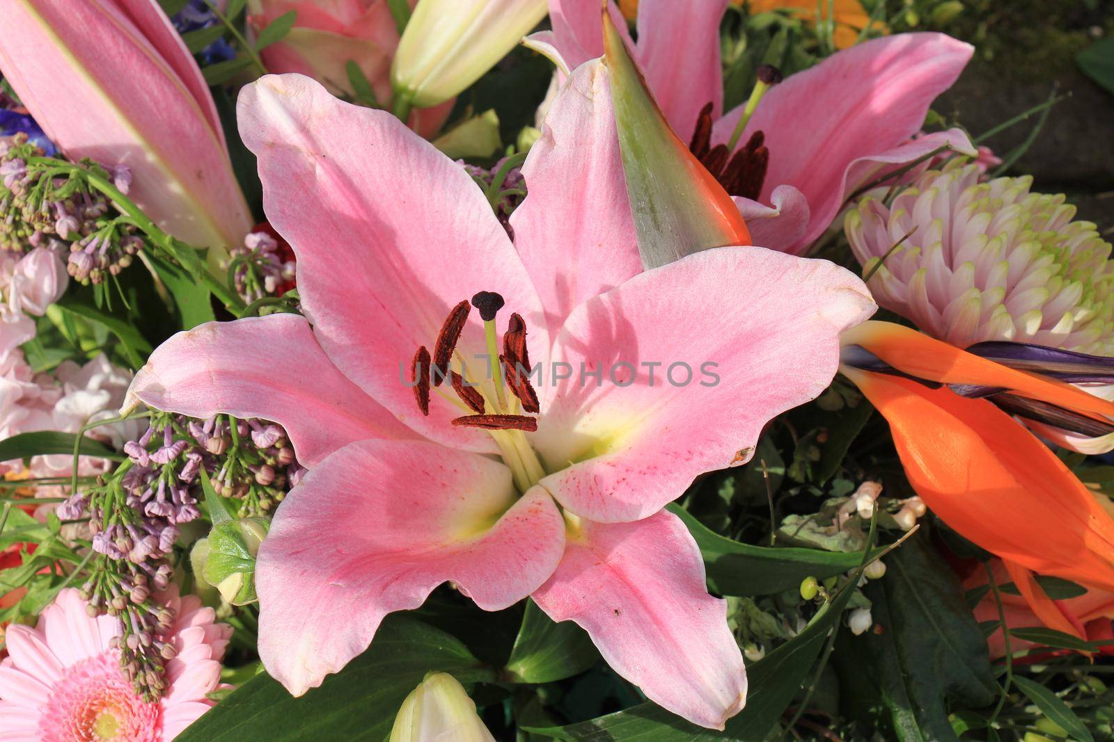 Big pink lilies in a floral wedding decoration by studioportosabbia