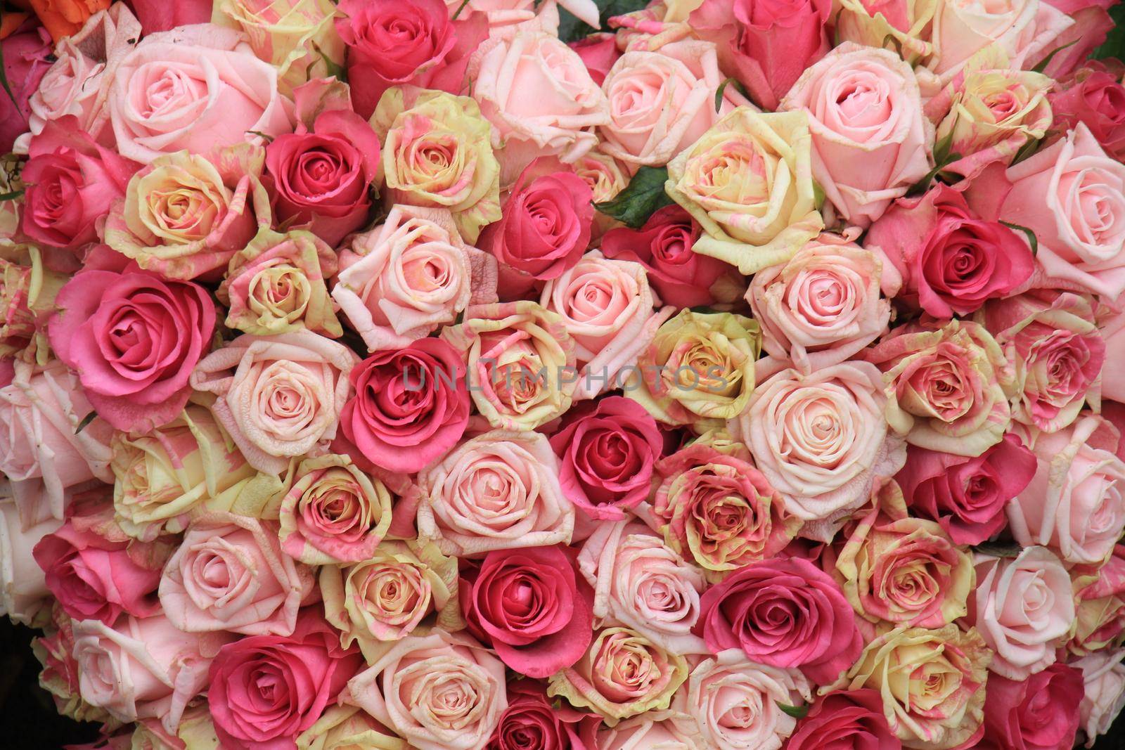 Mixed pink roses in a floral wedding decoration