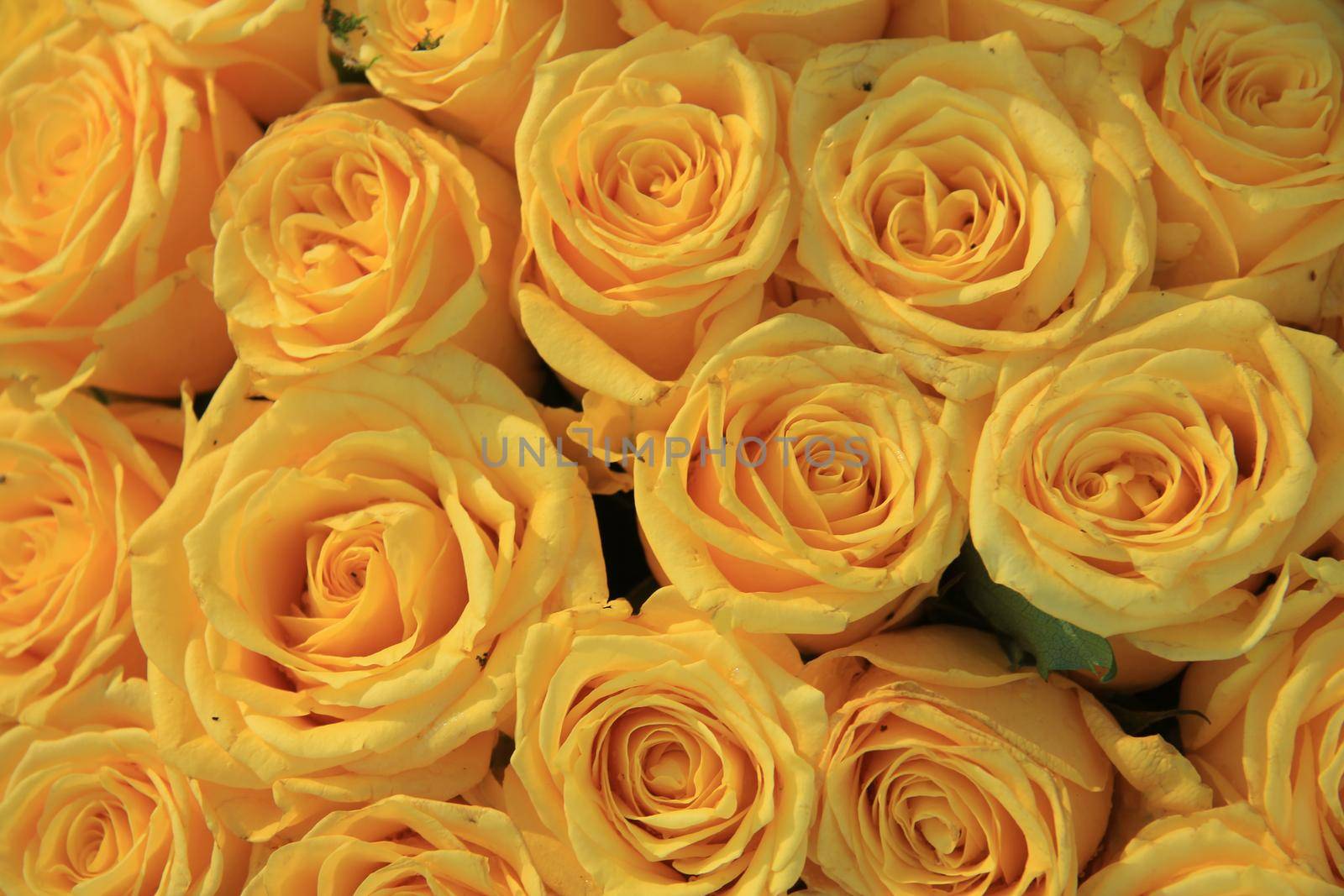 yellow roses in a floral wedding arrangement