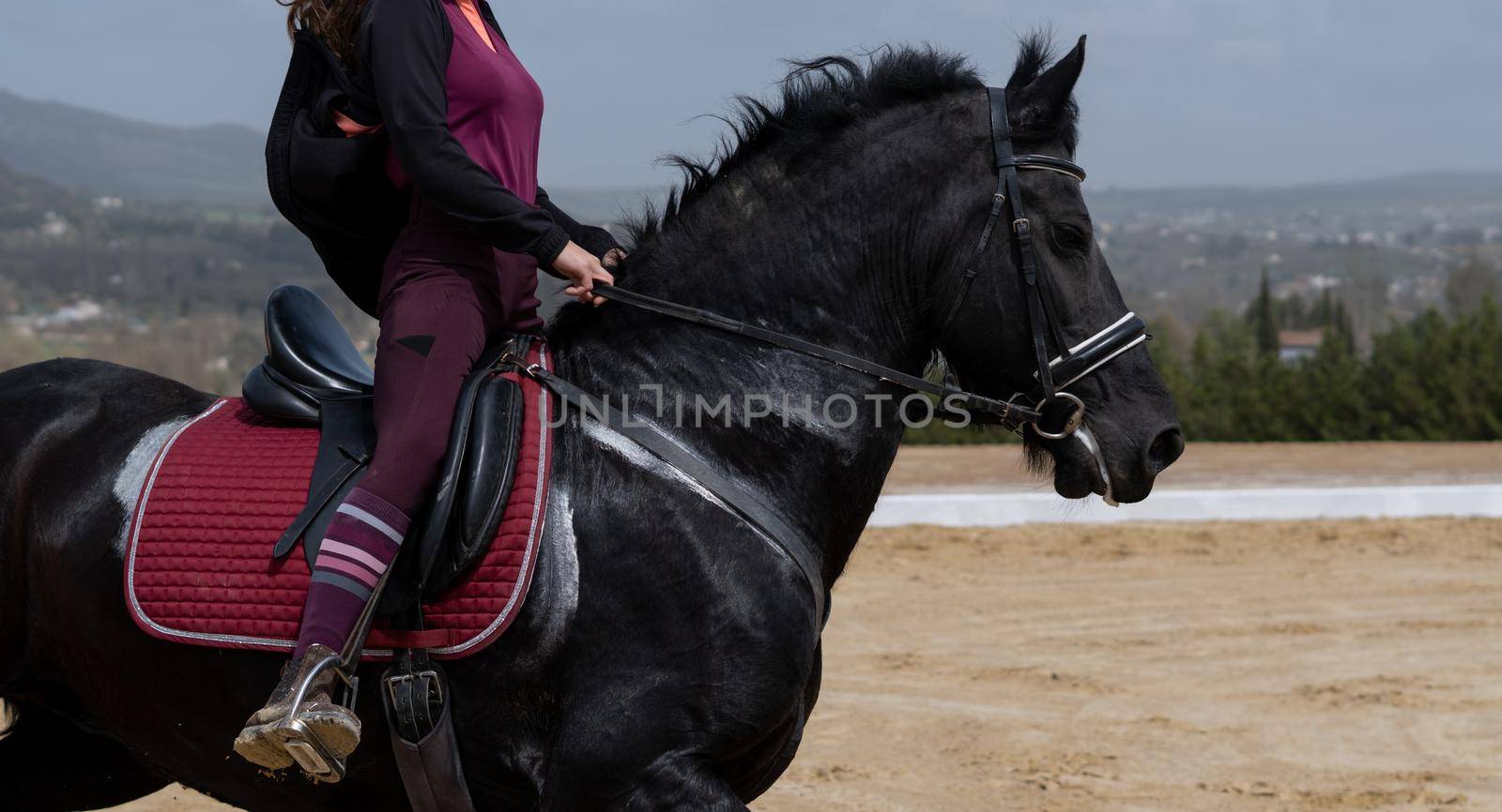 unrecognizable woman riding on a black horse with a mountainous landscape in the background and blue sky