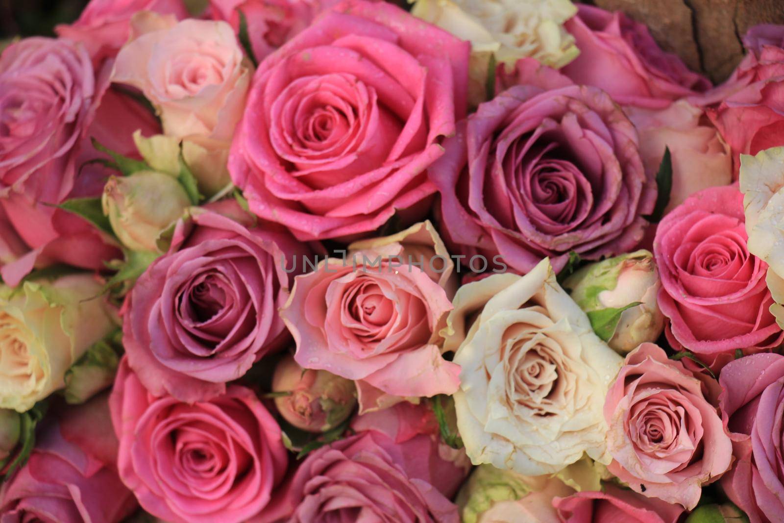 Mixed pink roses in a floral wedding decoration by studioportosabbia