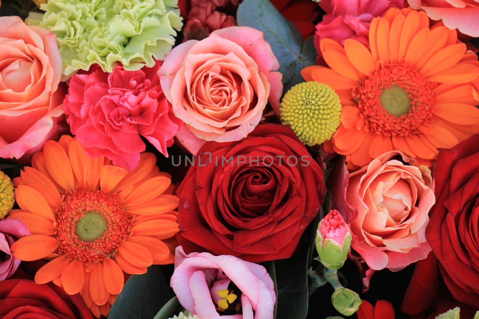 Mixed flower arrangement: various flowers in different shades of red, pink and orange by studioportosabbia