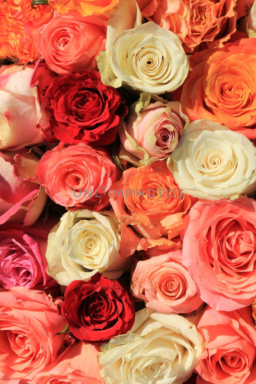 Mixed bridal bouquet in various shades of orange and pink by studioportosabbia