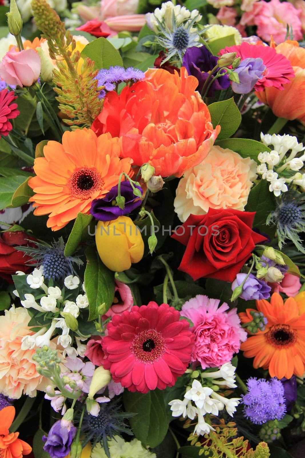 Mixed flower arrangement: various flowers by studioportosabbia