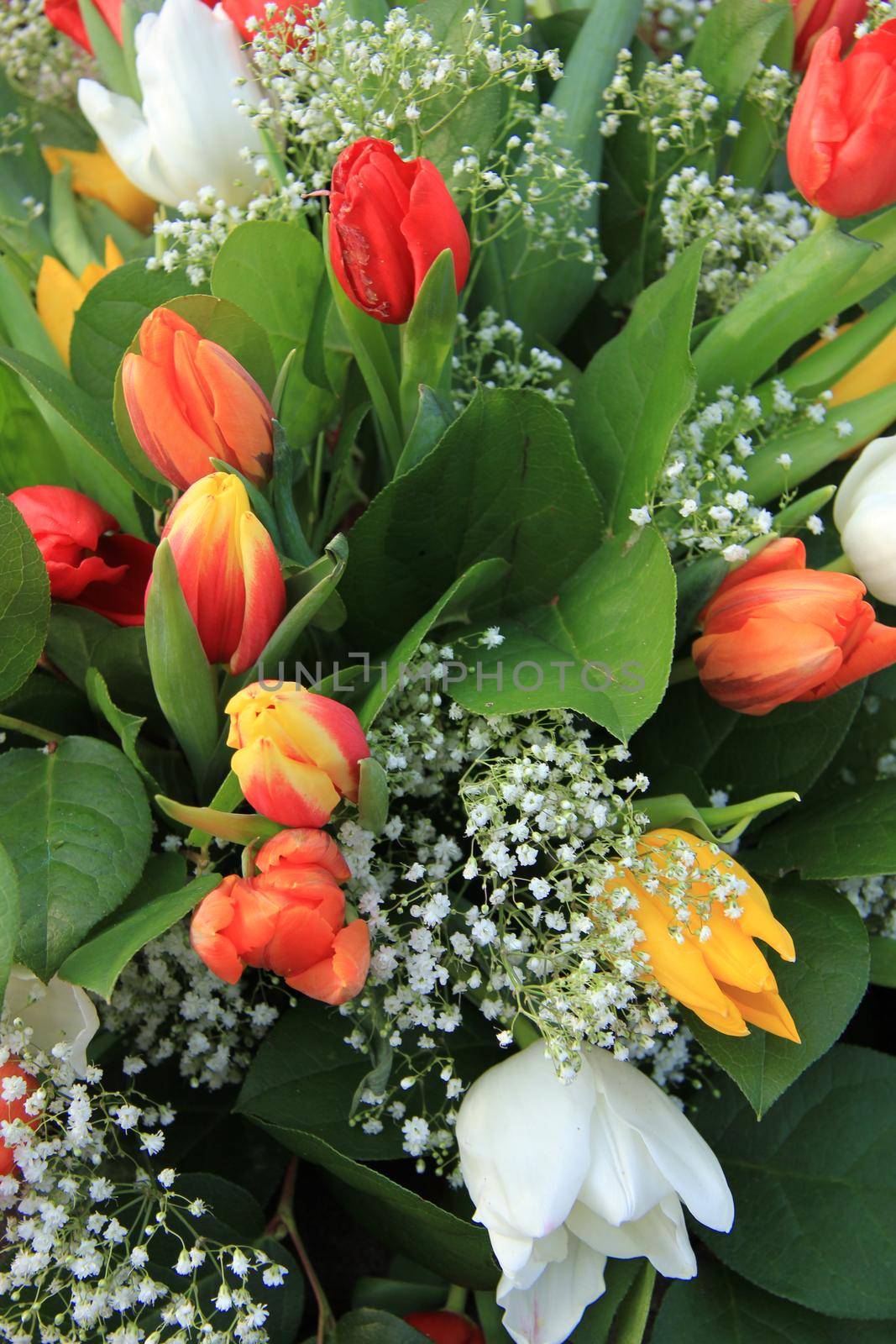 yellow, white and red tulips in a spring bouquet