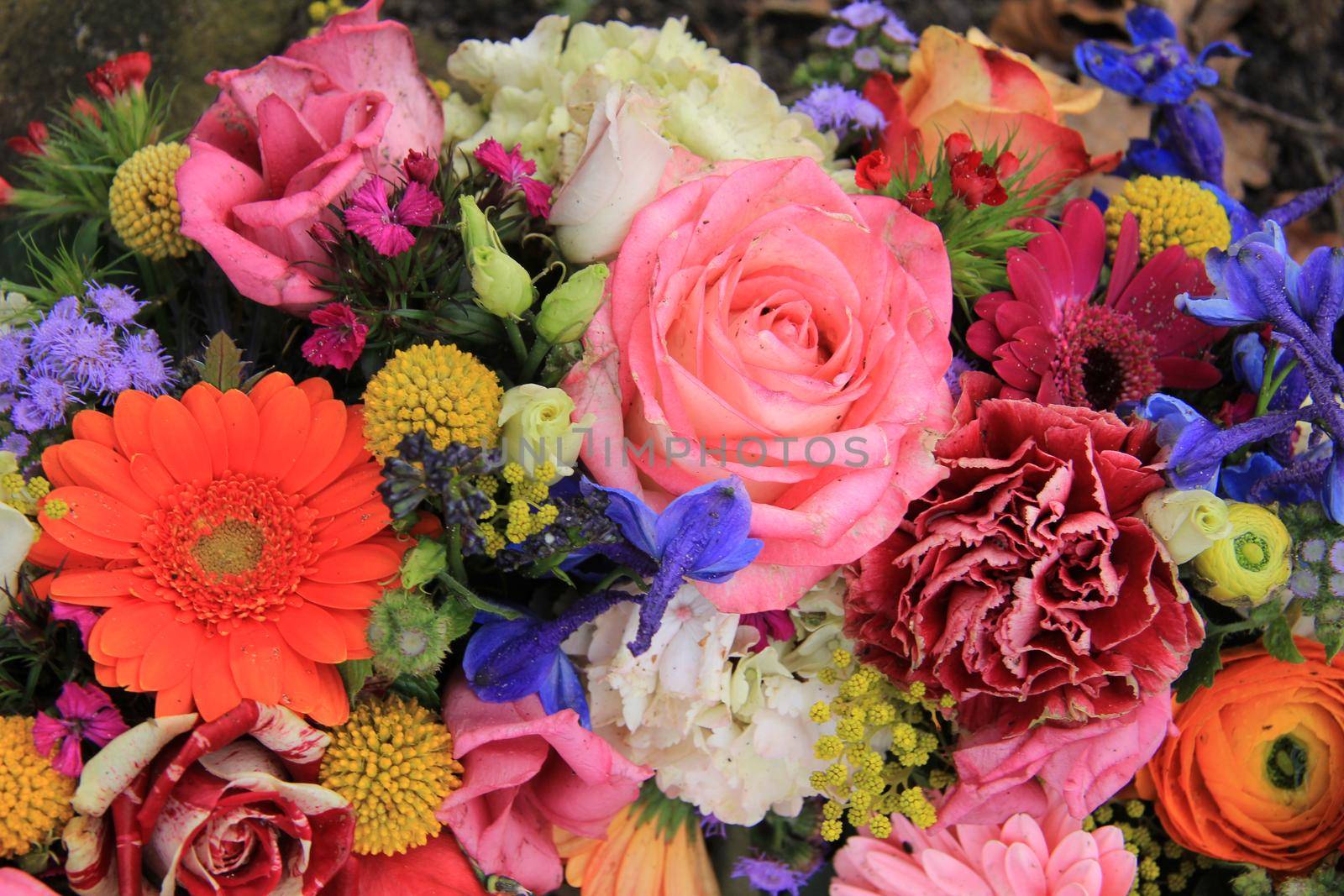 Mixed flower arrangement: various flowers in different colors for a wedding by studioportosabbia
