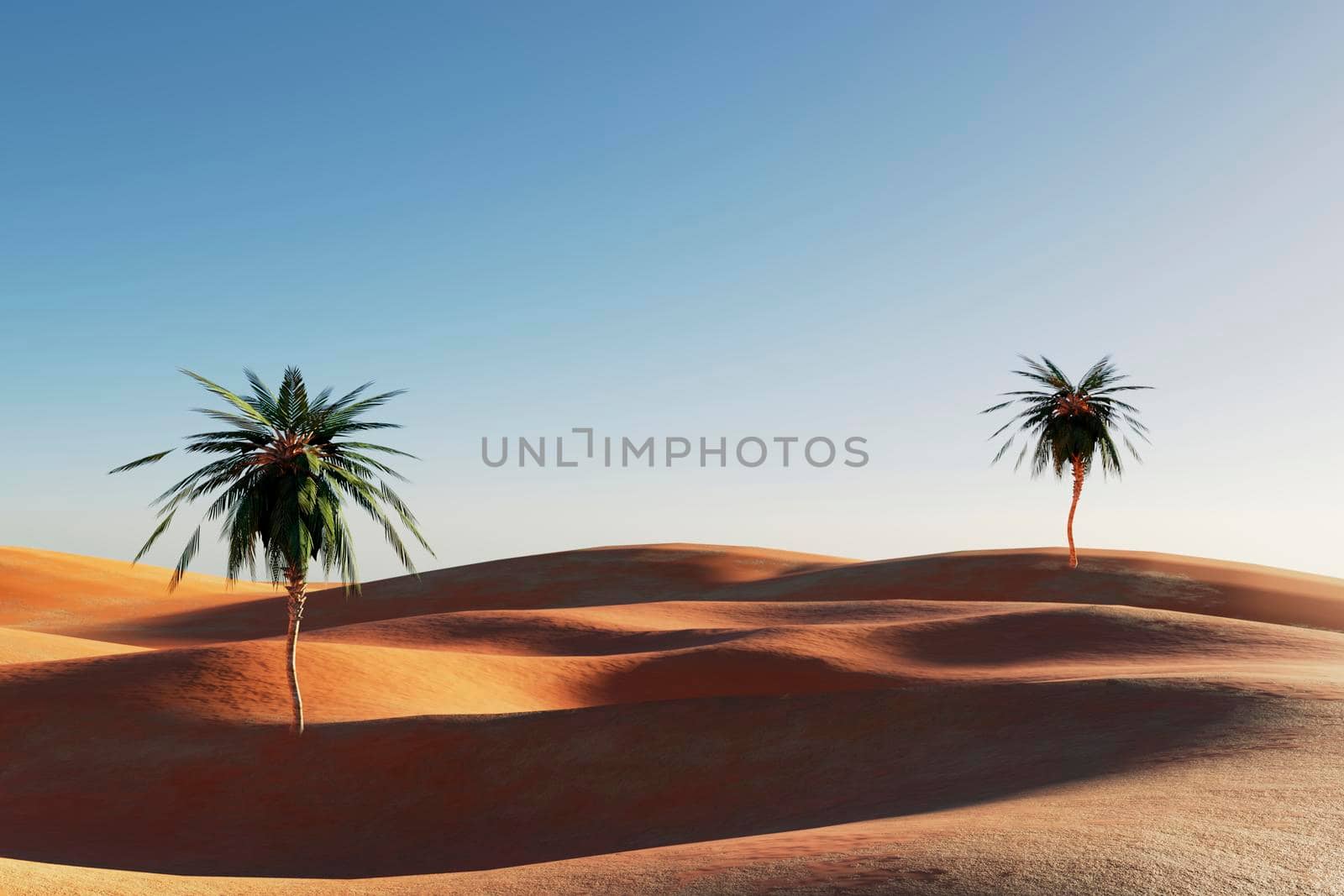 Sunset in a sandy desert, a panorama of the desert with palm trees, 3d illustration