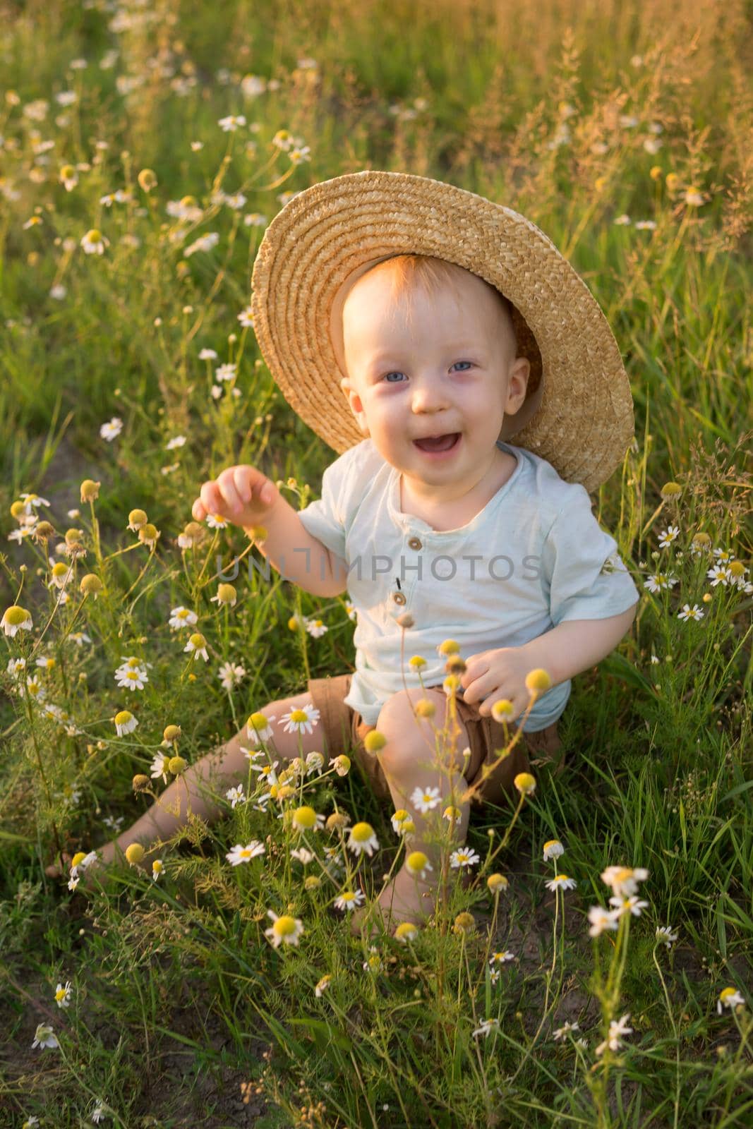 A little blond boy in a straw hat is sitting in the grass in a chamomile field. The concept of walking in nature, freedom and an environmentally friendly lifestyle by Annu1tochka