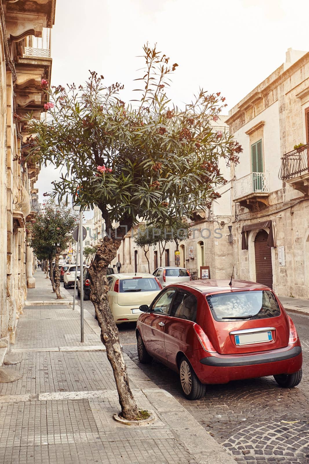 Magnificent architecture of a winding streets decorated with plants in flowerpots. Parked car is standing nearby. Downtown, white city Ostuni, Bari, Italy. Tourism, travel concept.