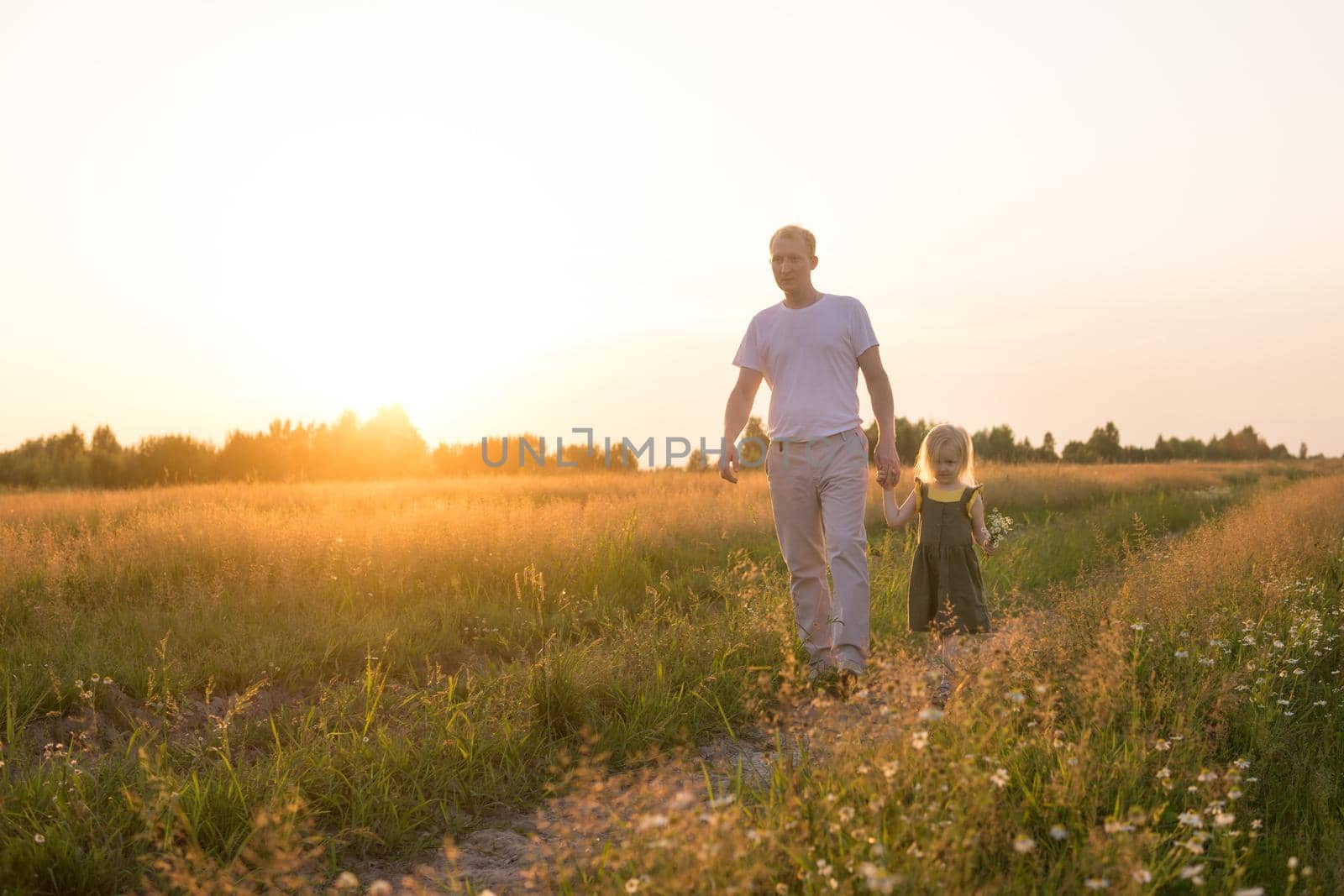 Dad and his blonde daughter are walking and having fun in a chamomile field. The concept of Father's Day, family and nature walks.