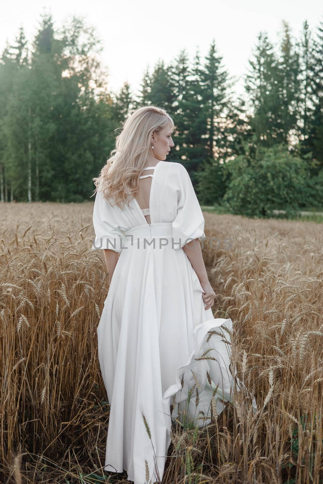 A blonde woman in a long white dress walks in a wheat field. The concept of a wedding and walking in nature by Annu1tochka