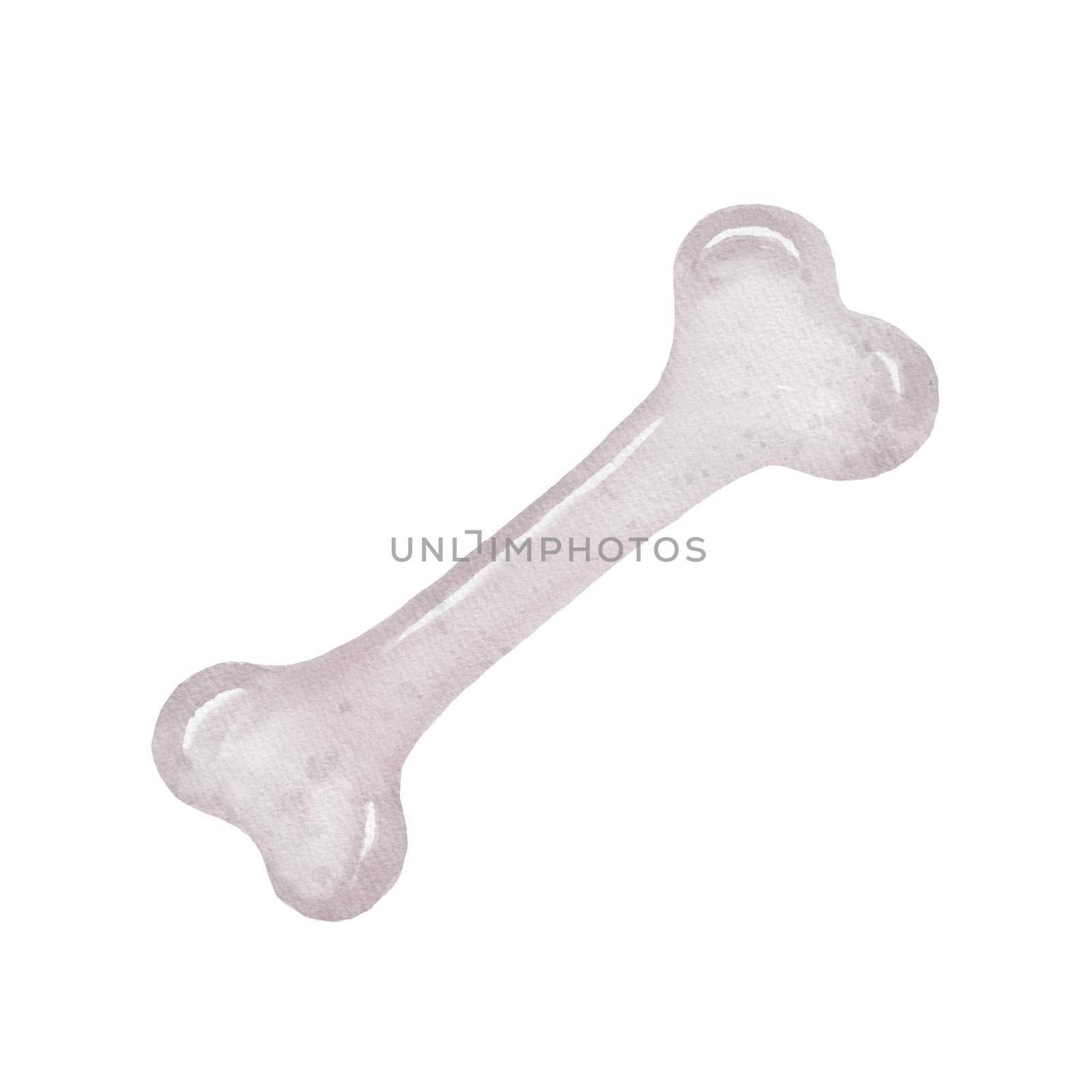 Watercolor illustration of bone isolated on white. Symbol of dog food, dental chew, teeth care. by ElenaPlatova