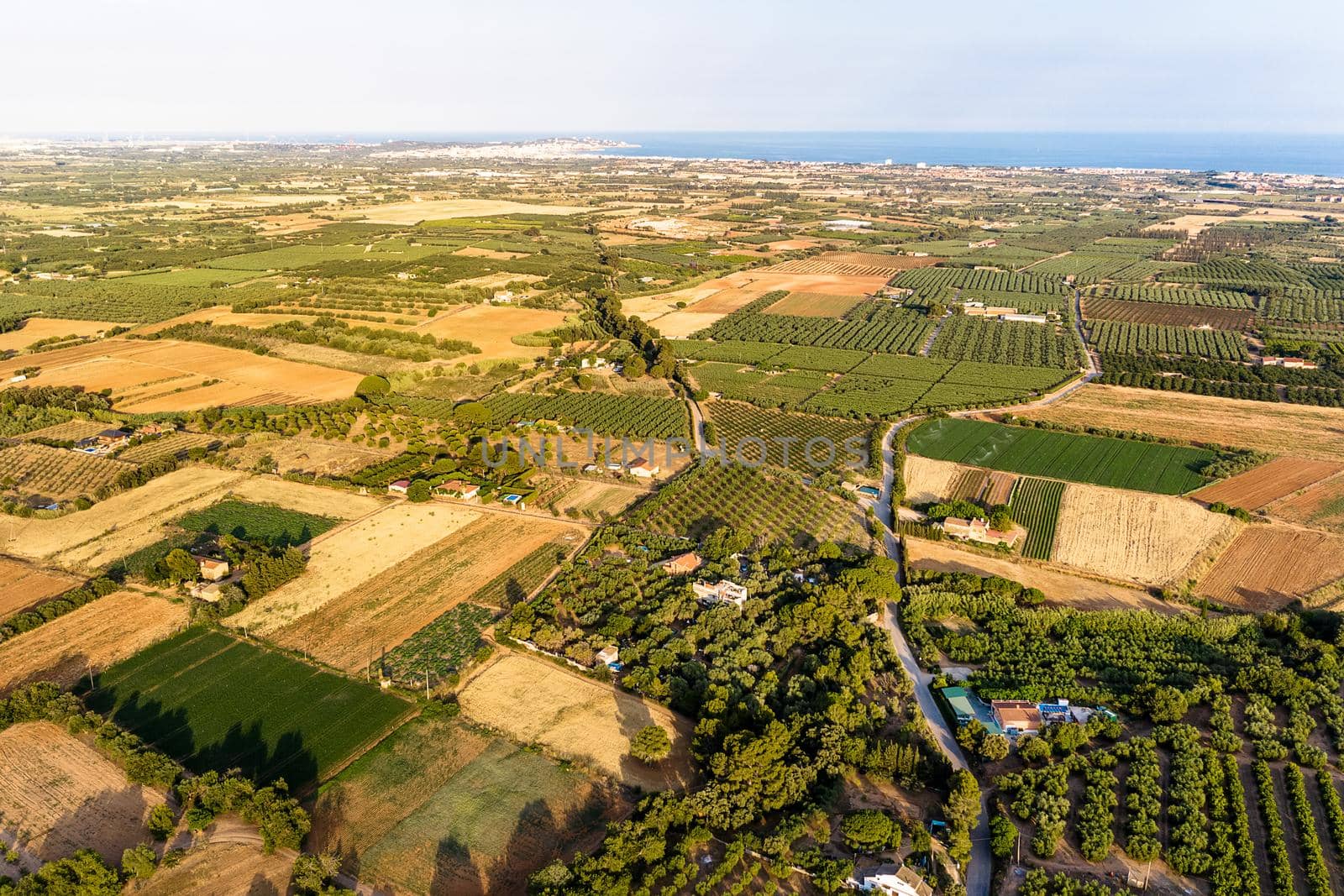 top view of crop fields near of the Mediterranean sea in Tarragona, green field agriculture industry aerial view