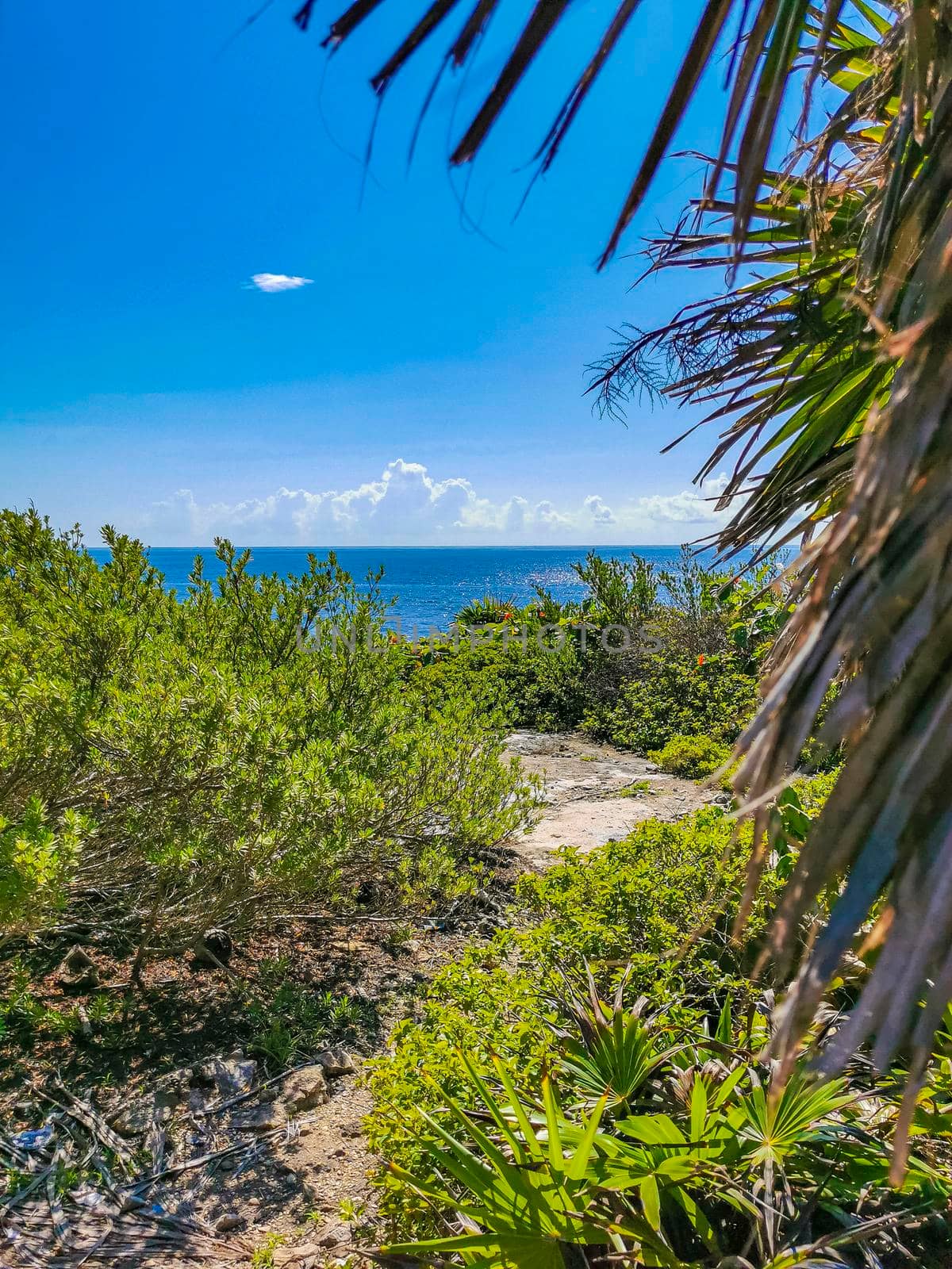 Natural seascape and beach panorama view at the ancient Tulum ruins Mayan site with temple ruins pyramids and artifacts in the tropical natural jungle forest palm trees in Tulum Mexico.