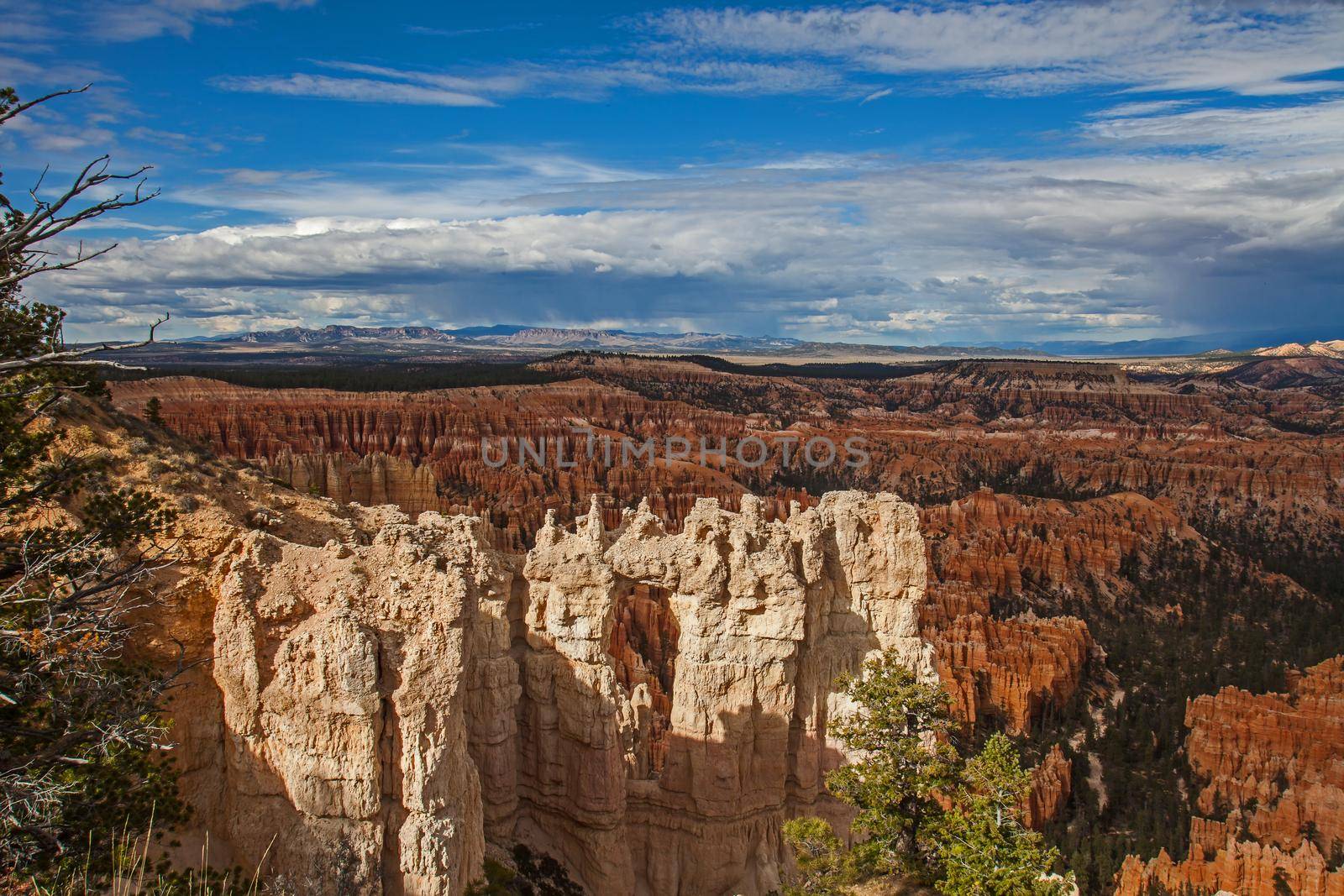 View over Bryce Canyon National Park Utah from the Rim Trail,