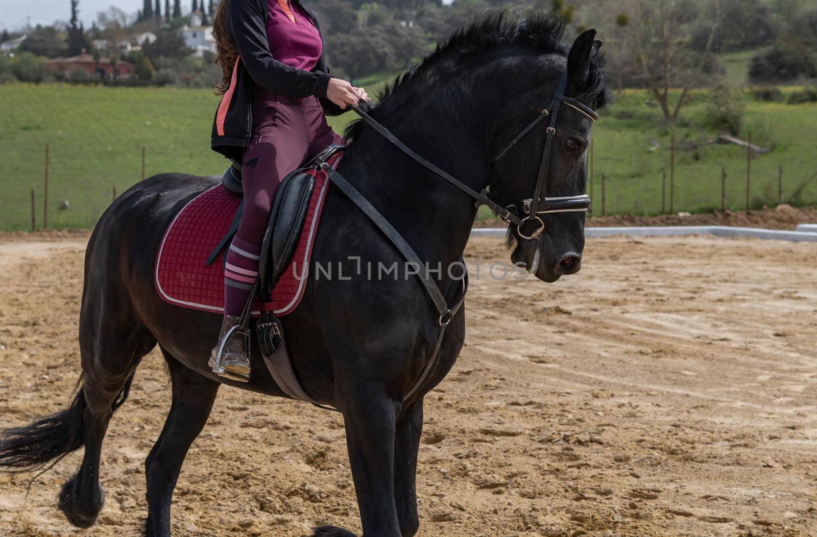 unrecognizable woman riding on a black horse by joseantona