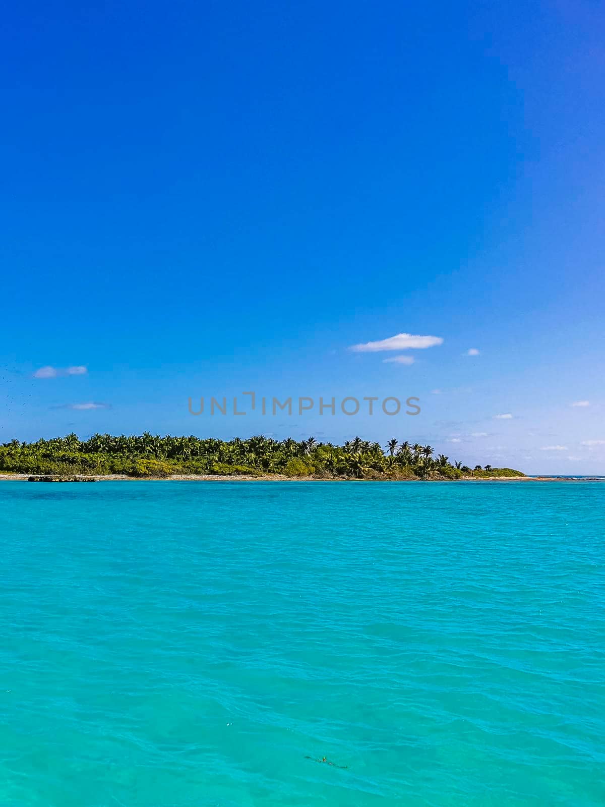 Amazing landscape panorama view with turquoise blue water palm trees blue sky and the natural tropical beach and the forest on the beautiful island of Contoy in Quintana Roo Mexico.