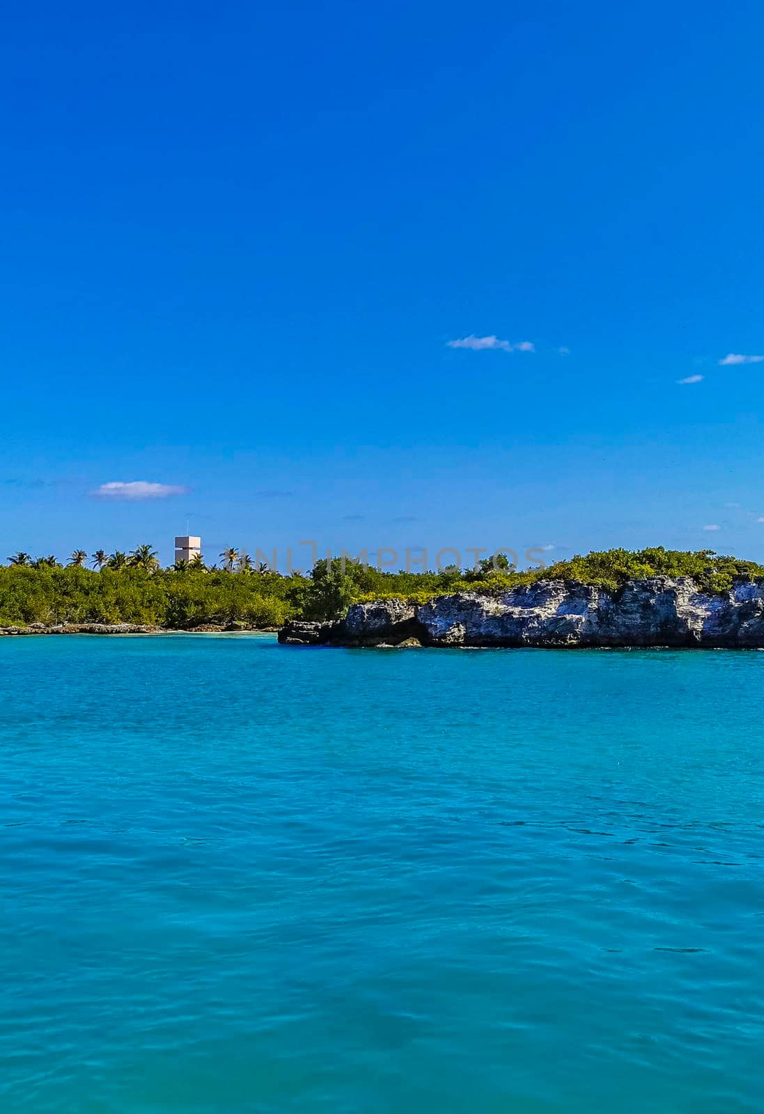 Amazing landscape panorama view with turquoise blue water palm trees blue sky and the natural tropical beach and the forest on the beautiful island of Contoy in Quintana Roo Mexico.