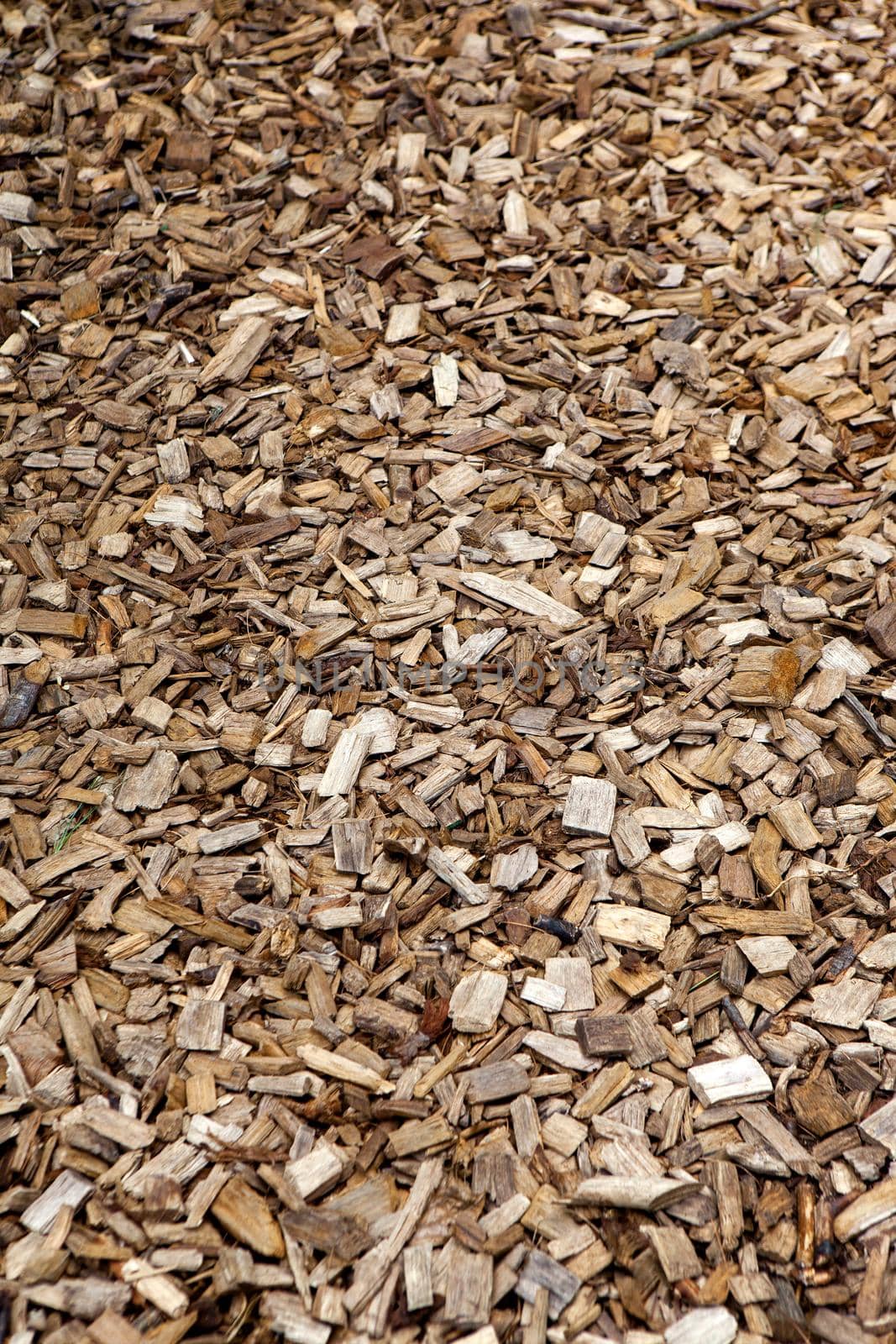Woodchips on the ground in the garden