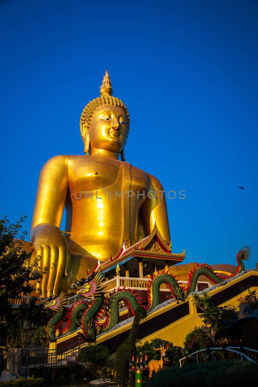 Big Buddha during sunset at Wat Muang in Ang Thong, Thailand, south east asia