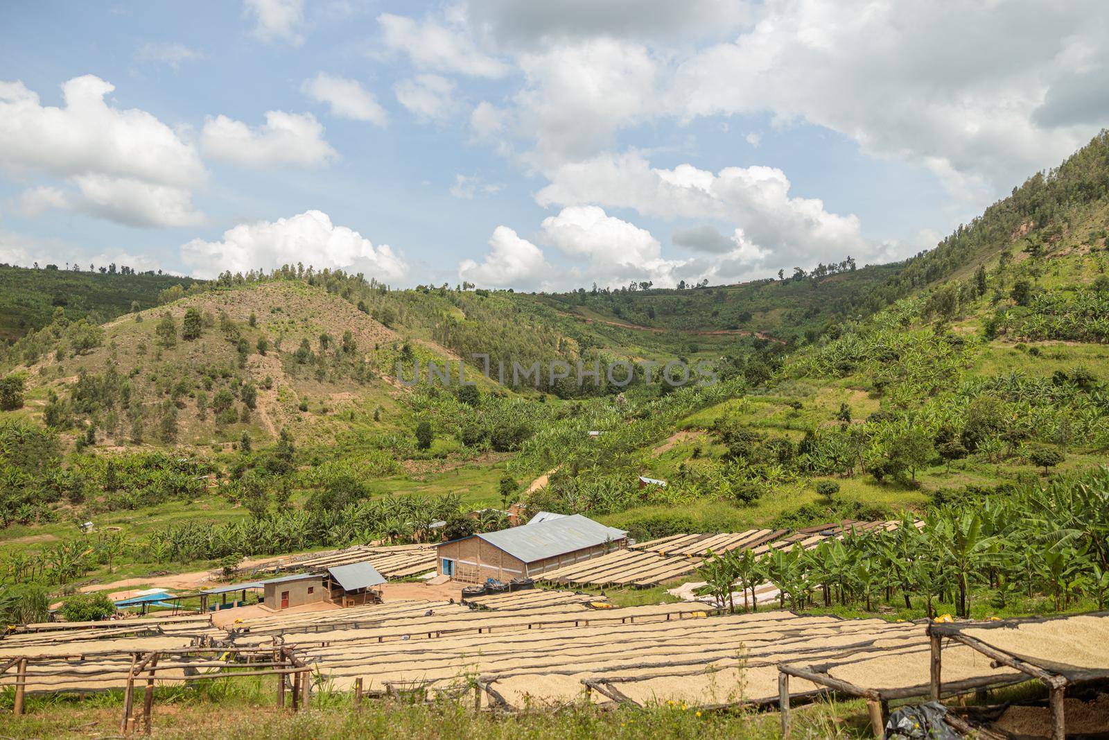 Small coffee processing farm in the mountains, Rwanda