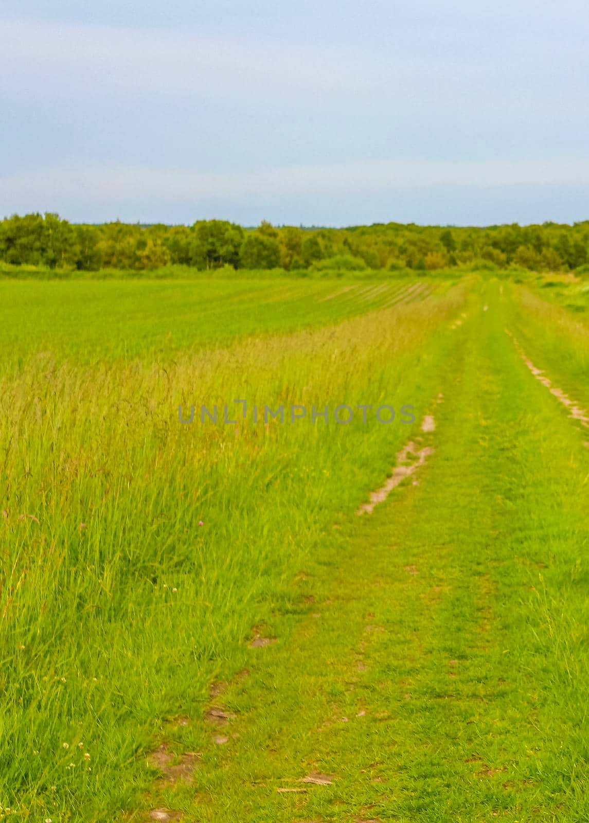 Cloudy sky with beautiful natural forest and agricultural landscape panorama in Lower Saxony Germany.