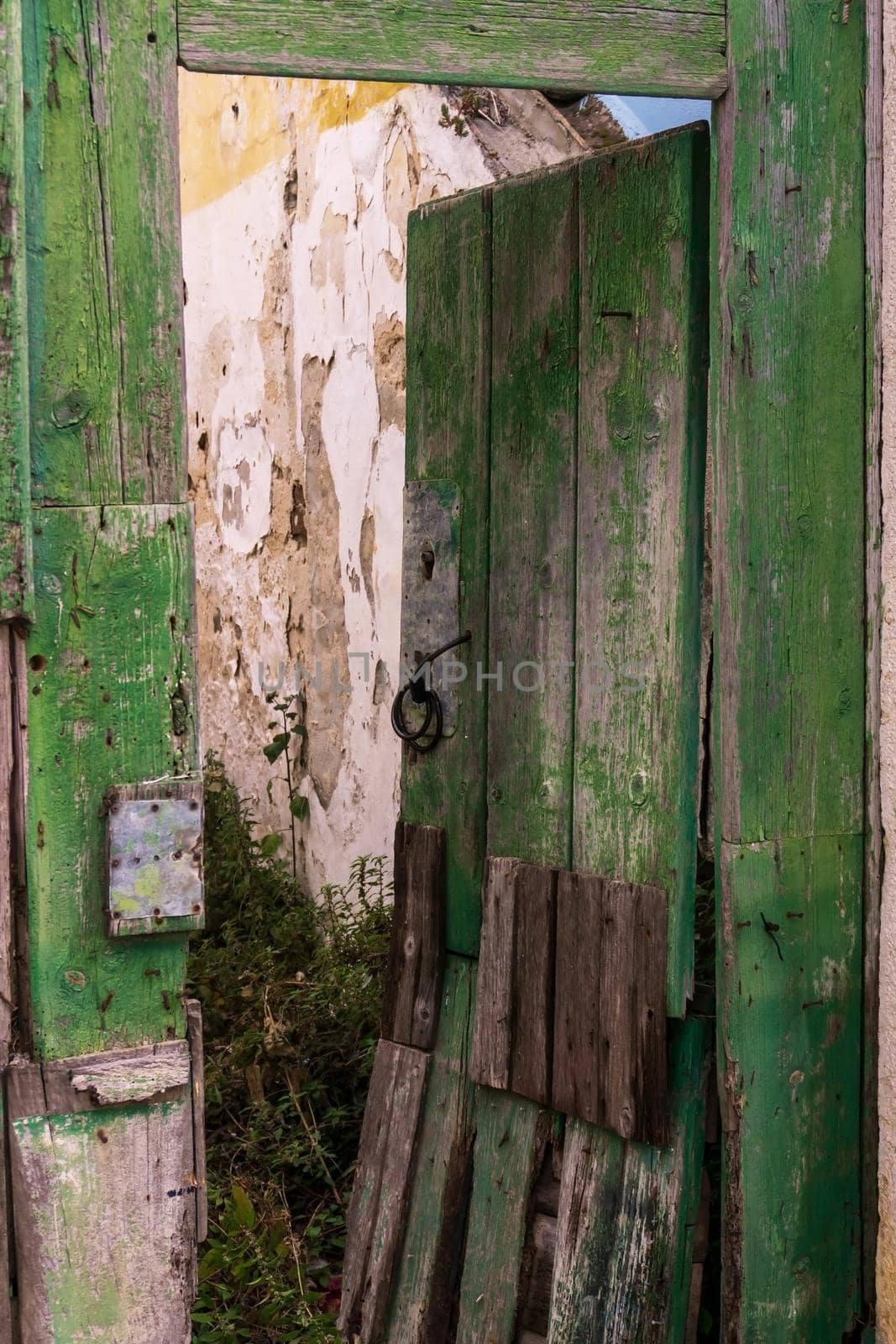 Open wooden green door to an abandoned overgrown building with a destroyed roof