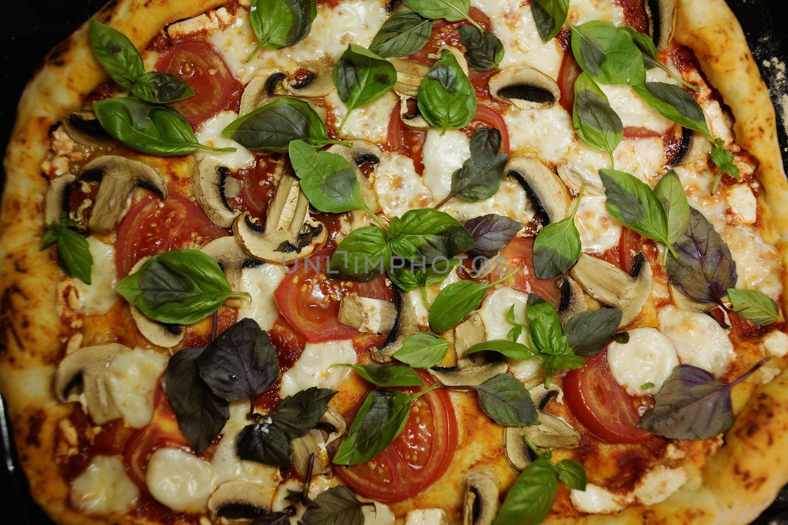 Close-up. Top view of an appetizing, freshly baked vegetarian pizza with addition ripe juicy tomatoes, organic champignons, aromatic basil herbs, mozzarella cheese. Selective focus. View from above