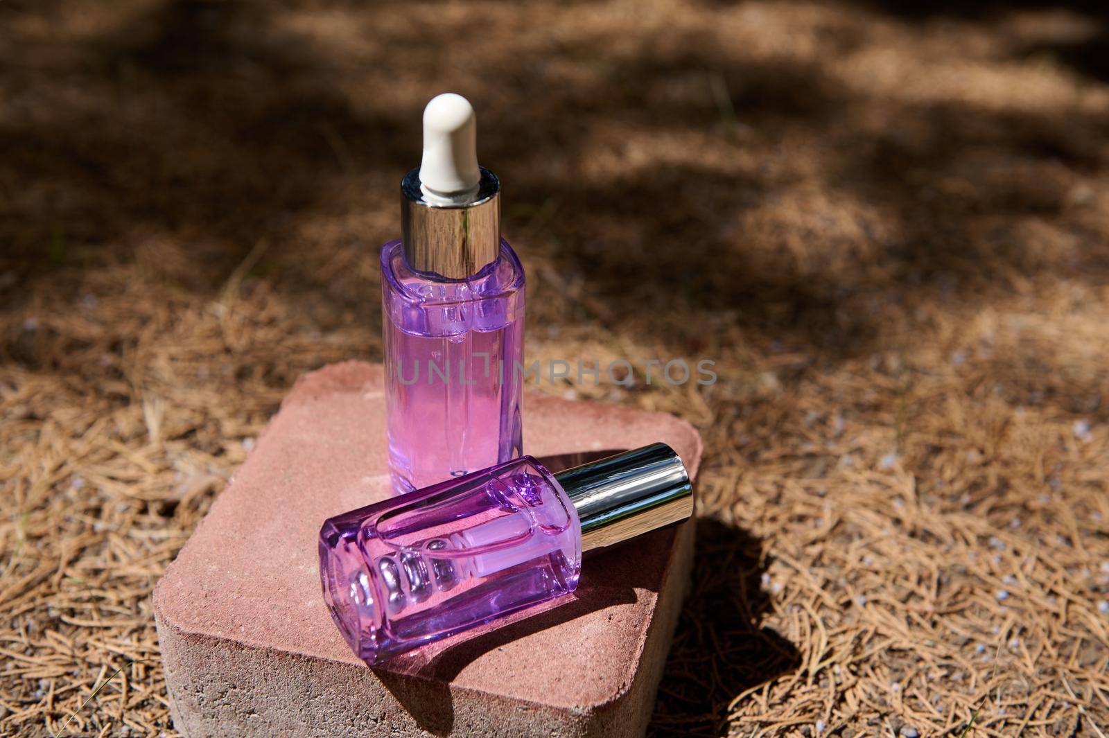 Transparent light violet dropper jar and vial of anti-aging serum for face care, on a pink stone, on fallen dry pine trees needles on the background, with sunlight and a shadow from coniferous trees