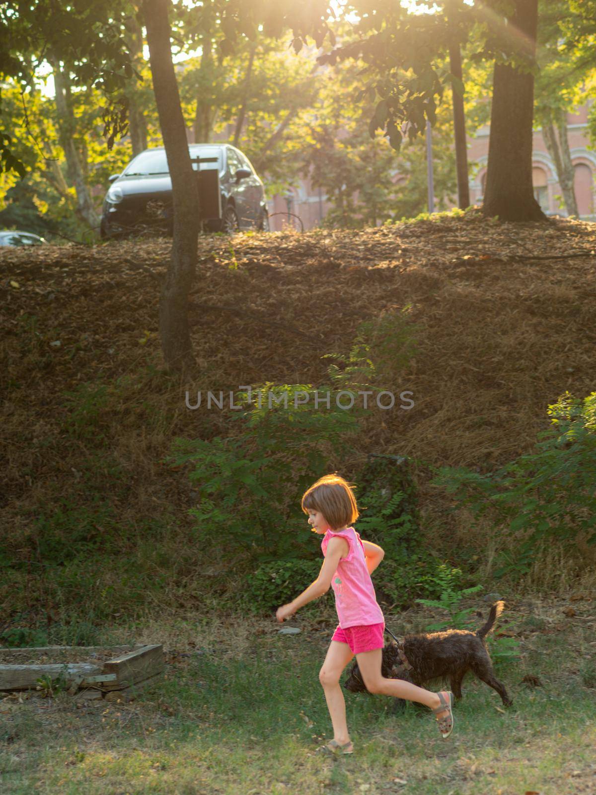 caucasian joyful girl walking and having fun with black terrier funny dog by verbano