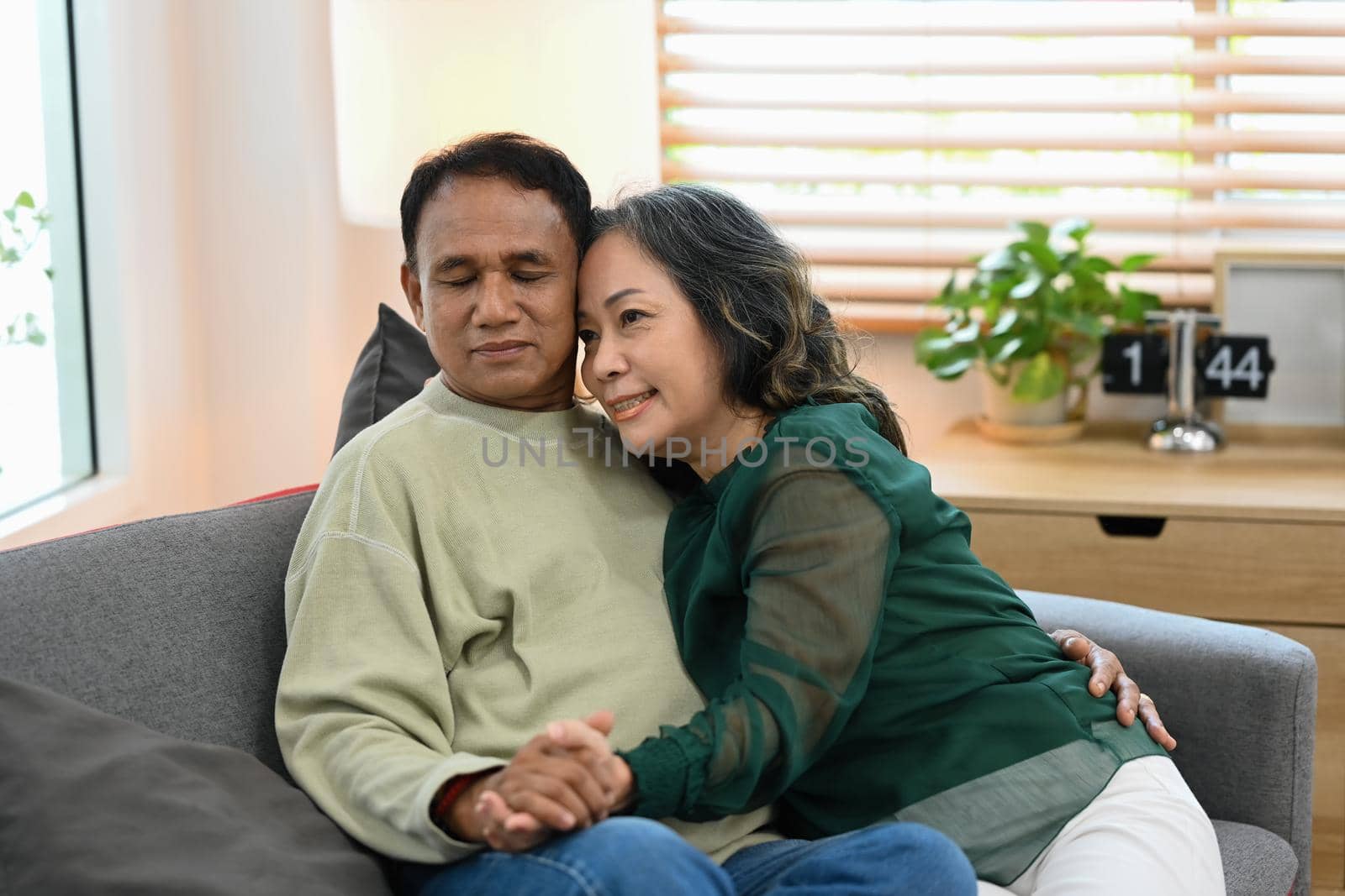 Smiling senior couple holding hands while sitting together comfortable couch. Retirement lifestyle, health insurance concept.