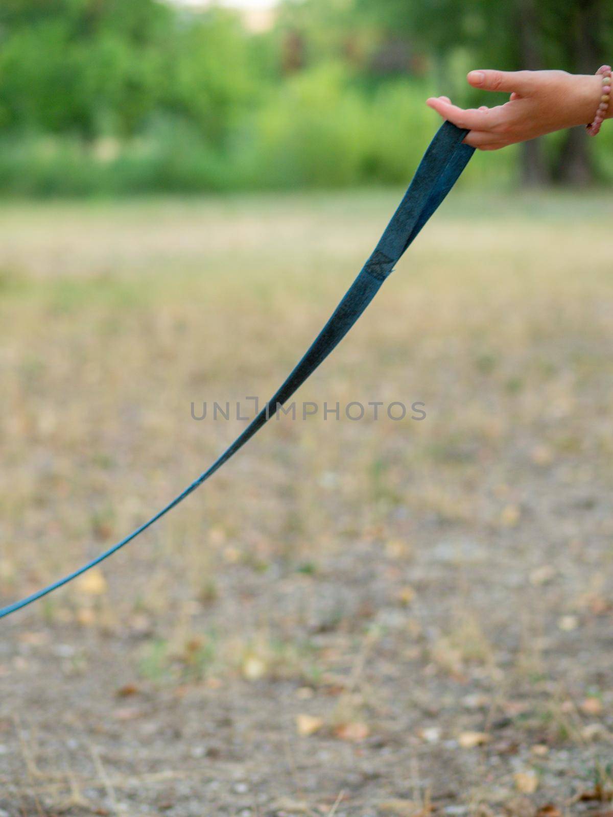 woman holding dog leash in a park by verbano