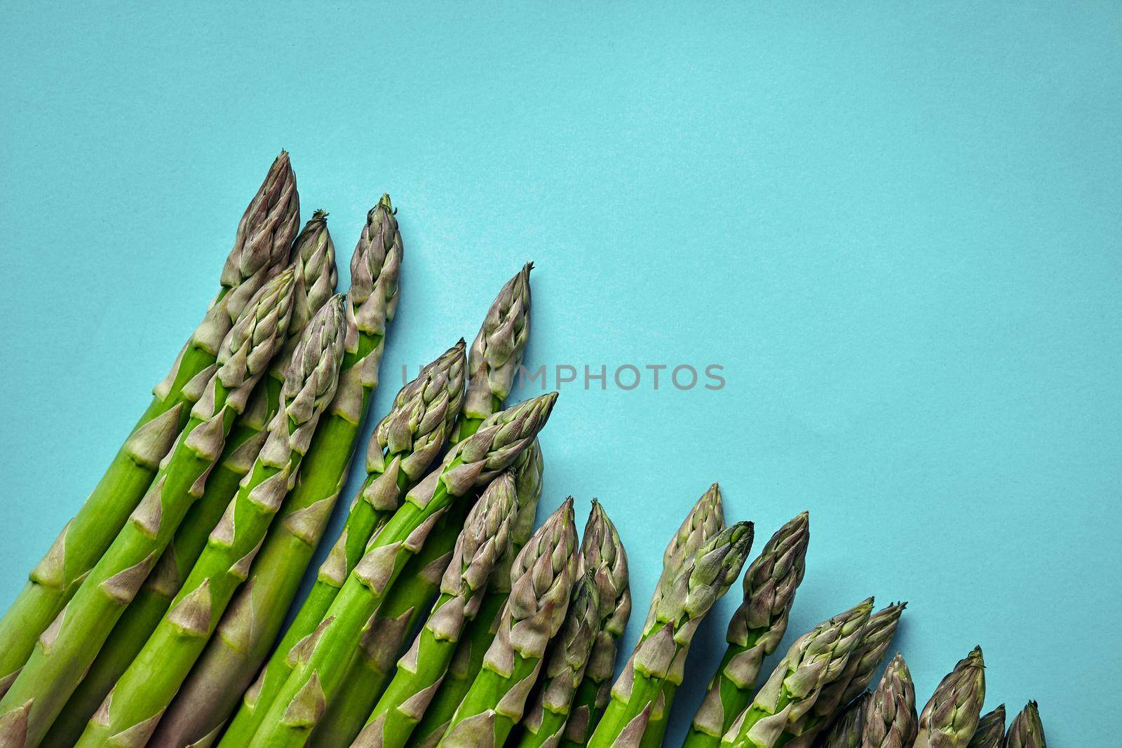 An edible, raw spears of asparagus isolated on blue background. Fresh, green vegetables, top view. Healthy eating. Spring harvest, agricultural farming concept.