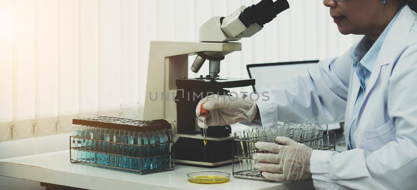 a doctor working in a research laboratory Science senior woman doing drug experiments. Chemistry concept, medicine, biochemistry, biotechnology. and health care by wichayada