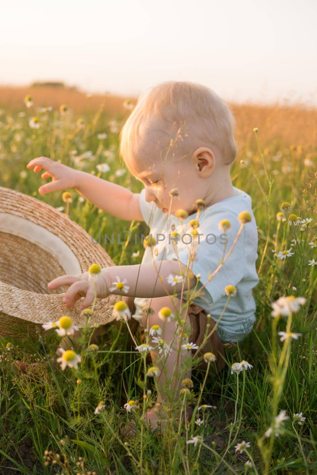 A little blond boy in a straw hat is sitting in the grass in a chamomile field. The concept of walking in nature, freedom and an environmentally friendly lifestyle by Annu1tochka