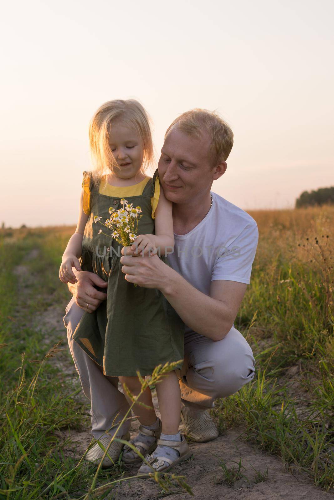 Dad and his blonde daughter are walking and having fun in a chamomile field. The concept of Father's Day, family and nature walks.